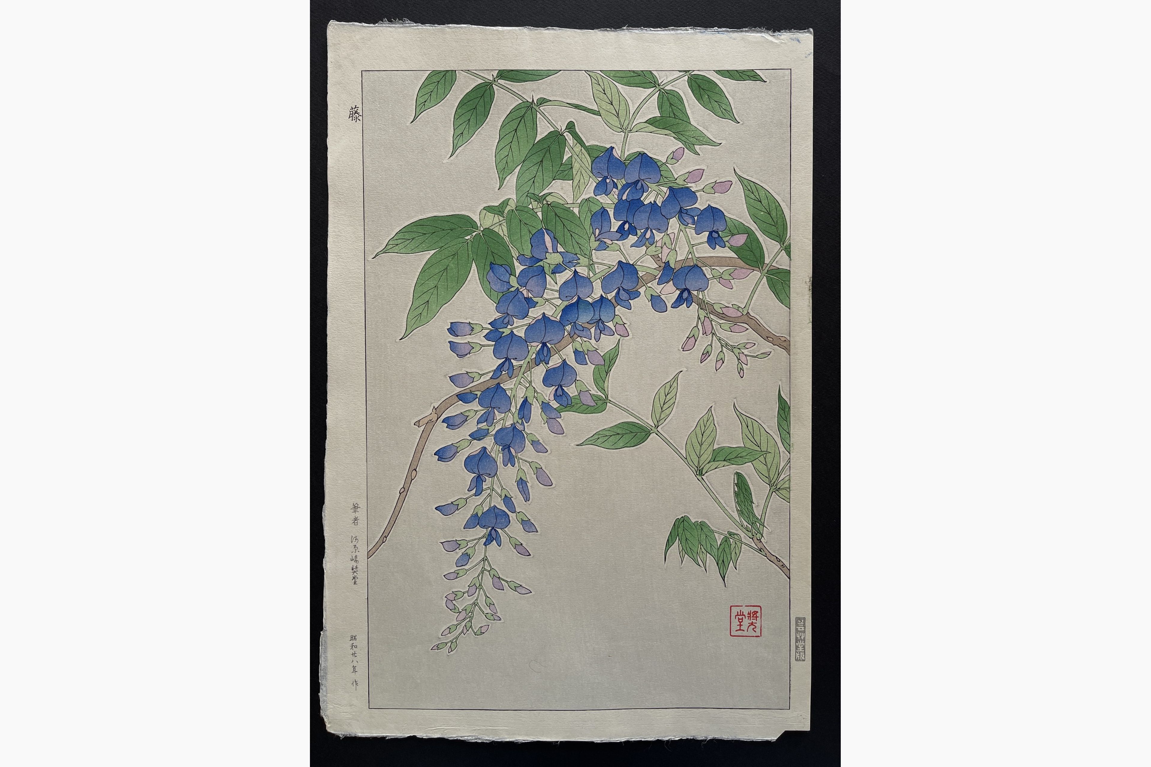 Japanese woodblock print - Kawarazaki Shodo - Wisteria