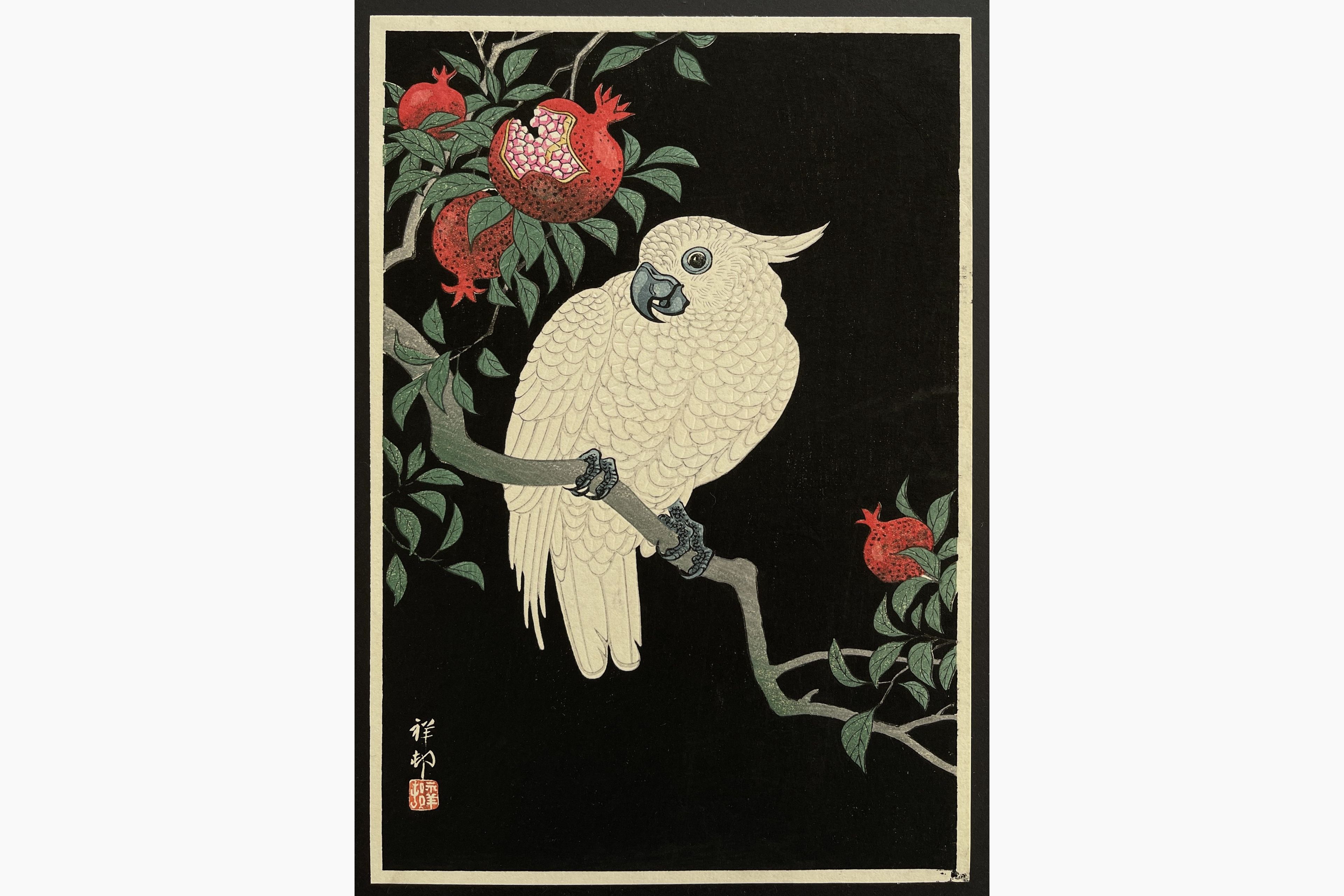 Japanese woodblock print - Ohara Koson - Cockatoo and Pomegranate
