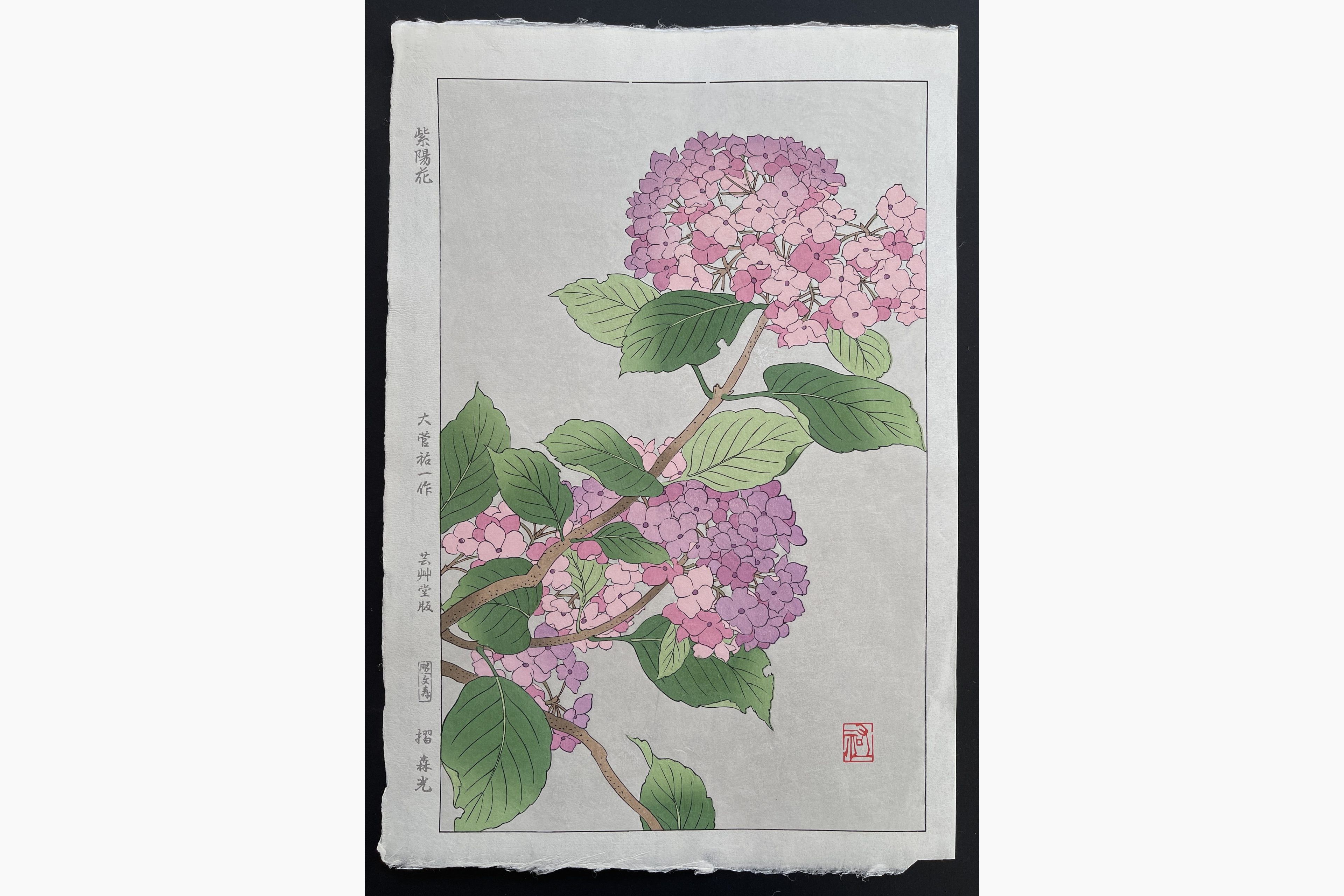 Japanese woodblock print - Osuga Yuichi - Hydrangea (Pink)