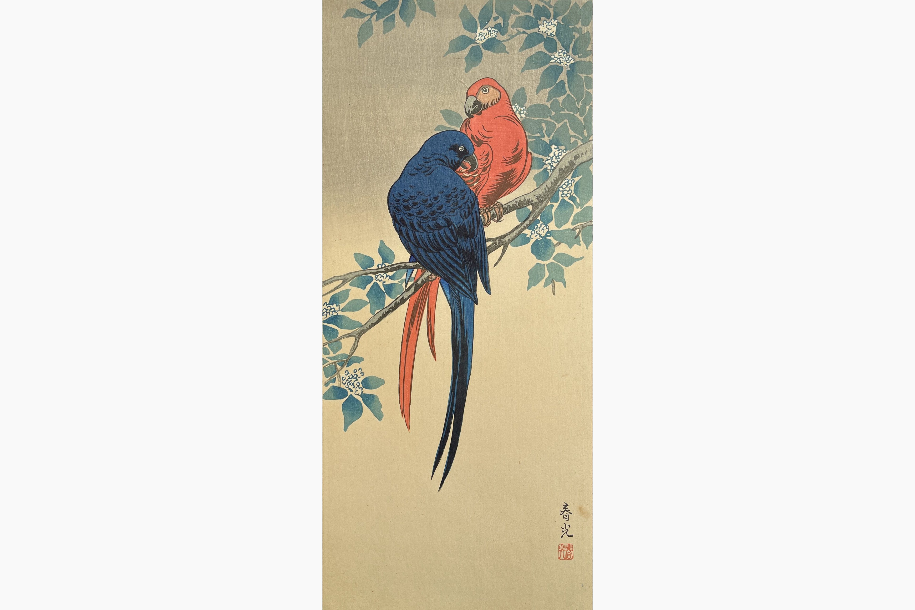 Original woodblock print - Ito Sozan - Parrots
