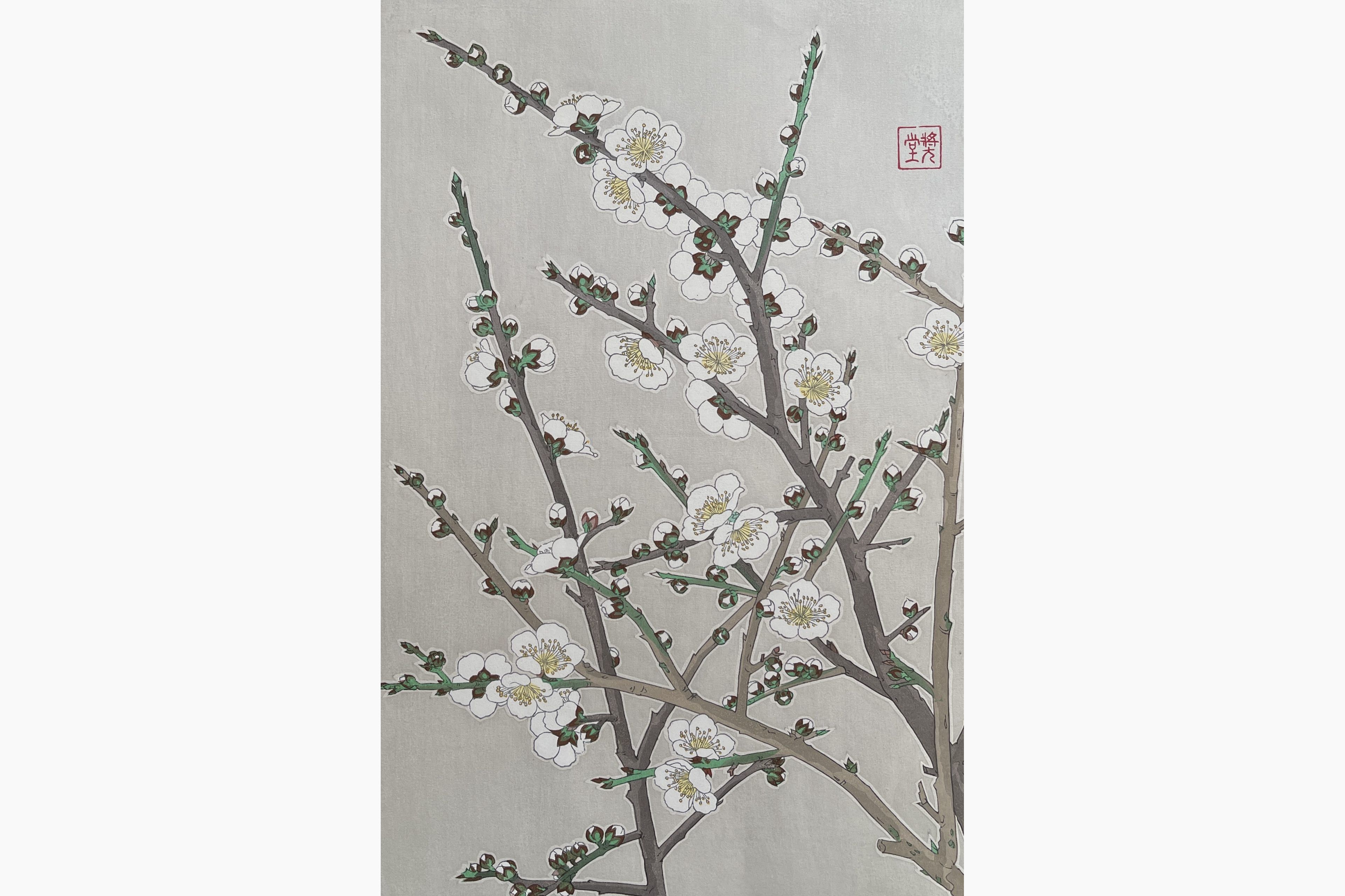 Original woodblock print - Kawarazaki Shodo - White Plum