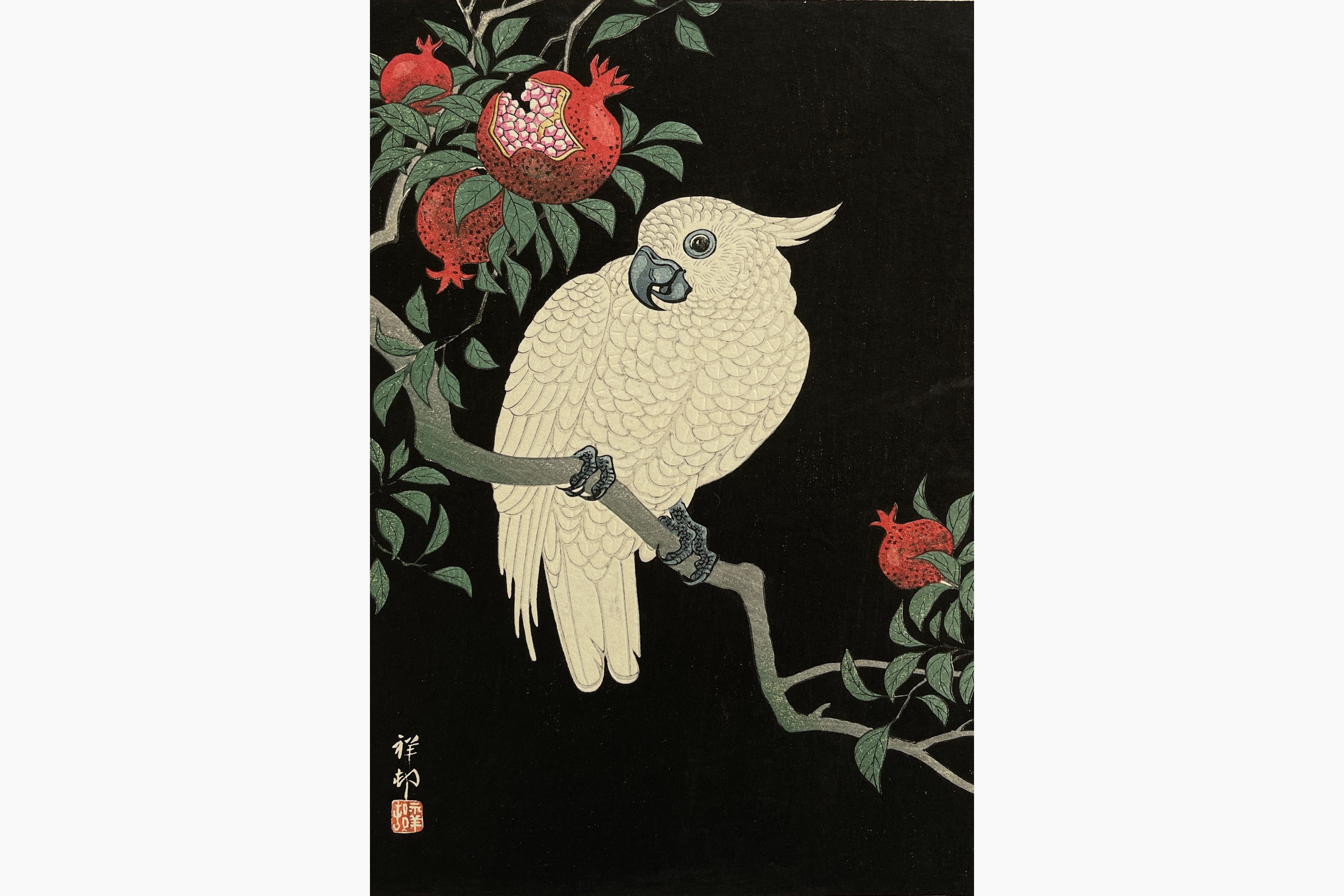 Original woodblock print - Ohara Koson - Cockatoo and Pomegranate