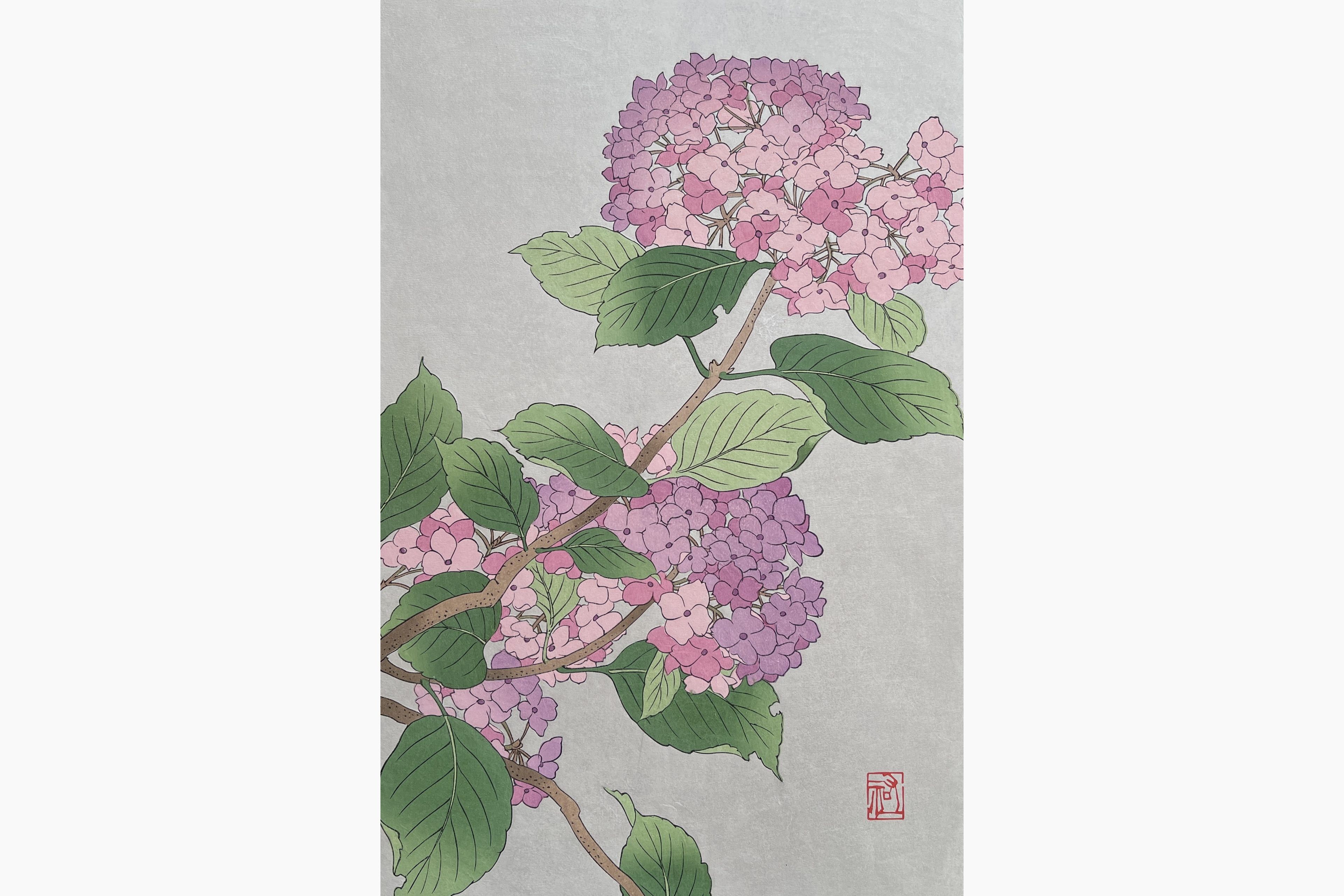 Original woodblock print - Osuga Yuichi - Hydrangea (Pink)
