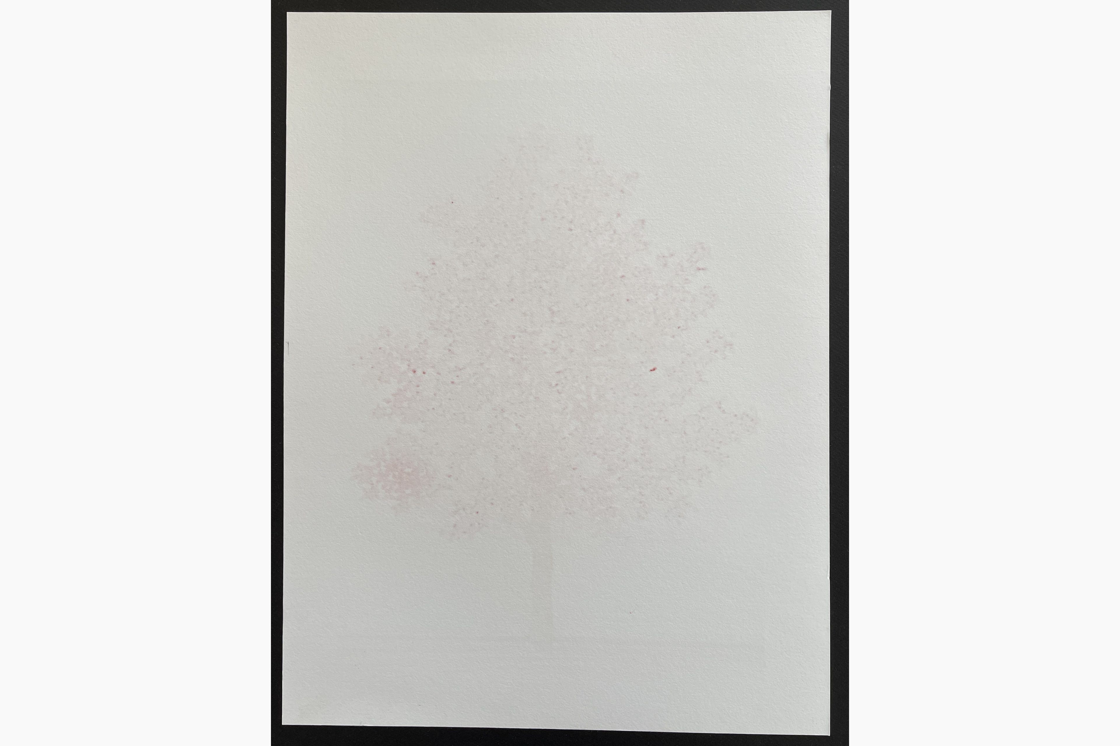 Woodblock print - Hajime Namiki - Magnolia 3