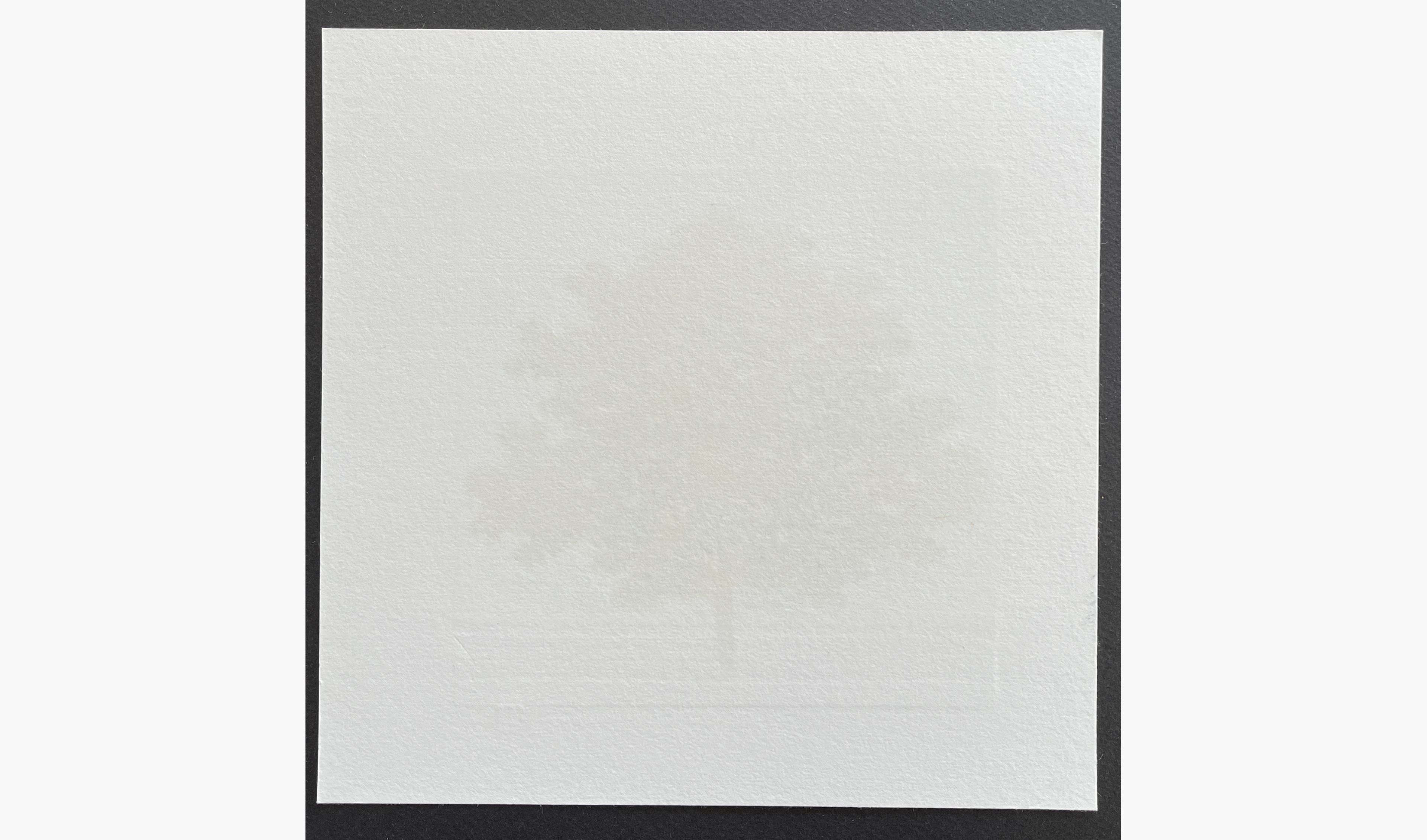 Woodblock print - Hajime Namiki - Tree scene 127