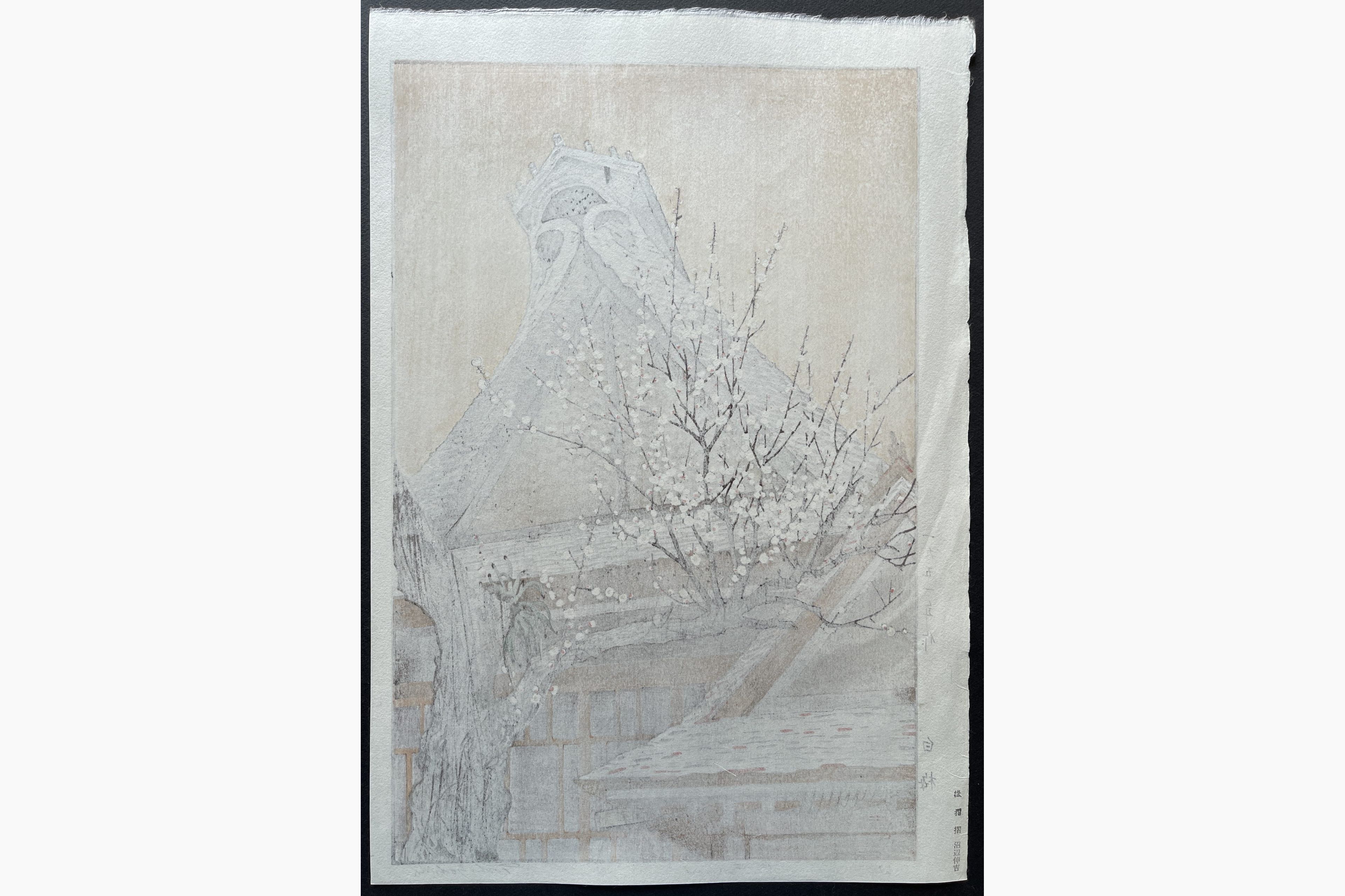 Japanese print - Toshi Yoshida - White Plum in the Farmyard