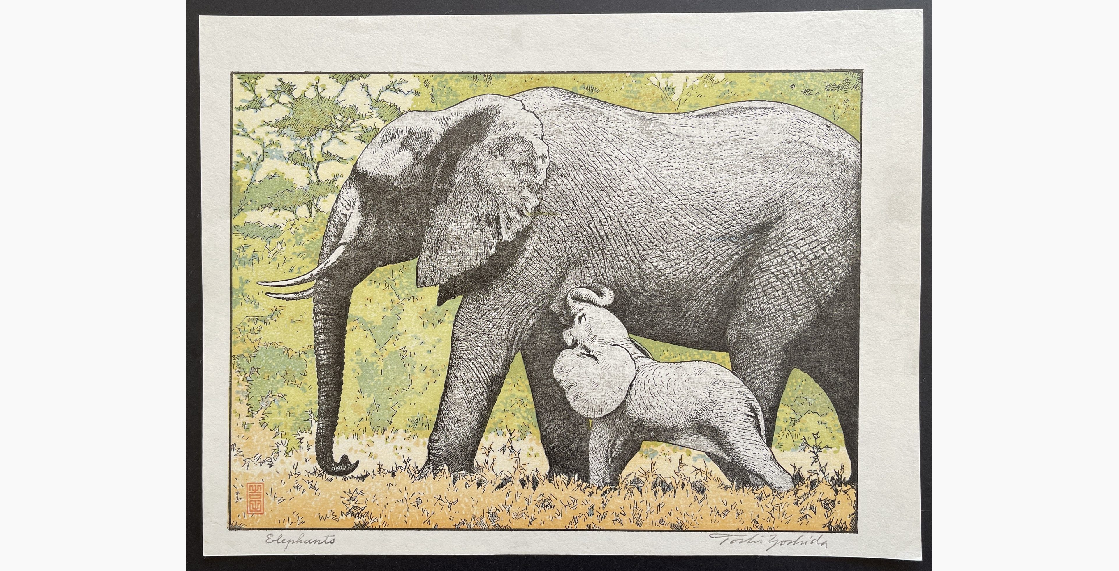 Japanese woodblock print - Toshi Yoshida - Elephants
