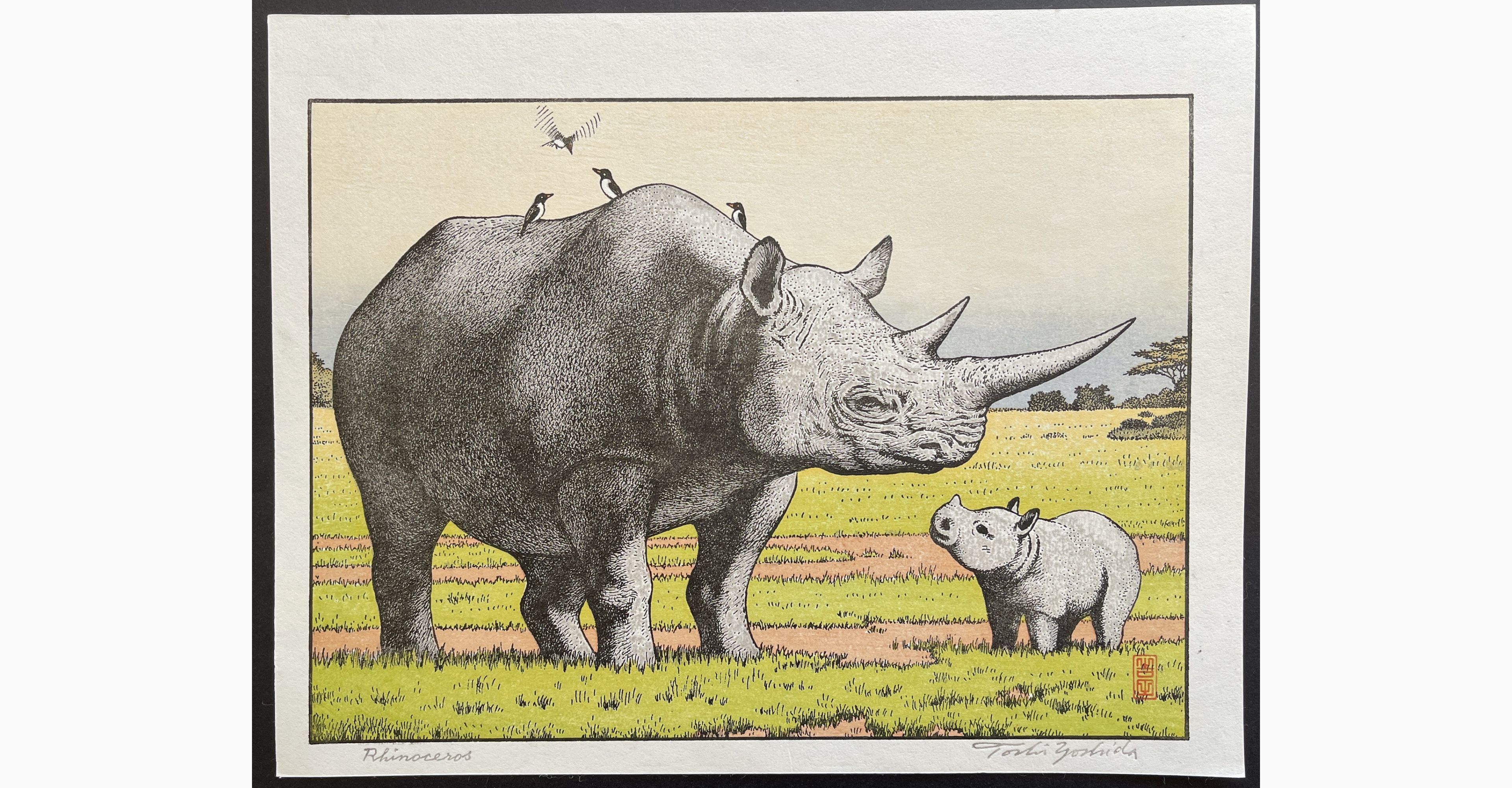Japanese woodblock print - Toshi Yoshida - Rhinoceros