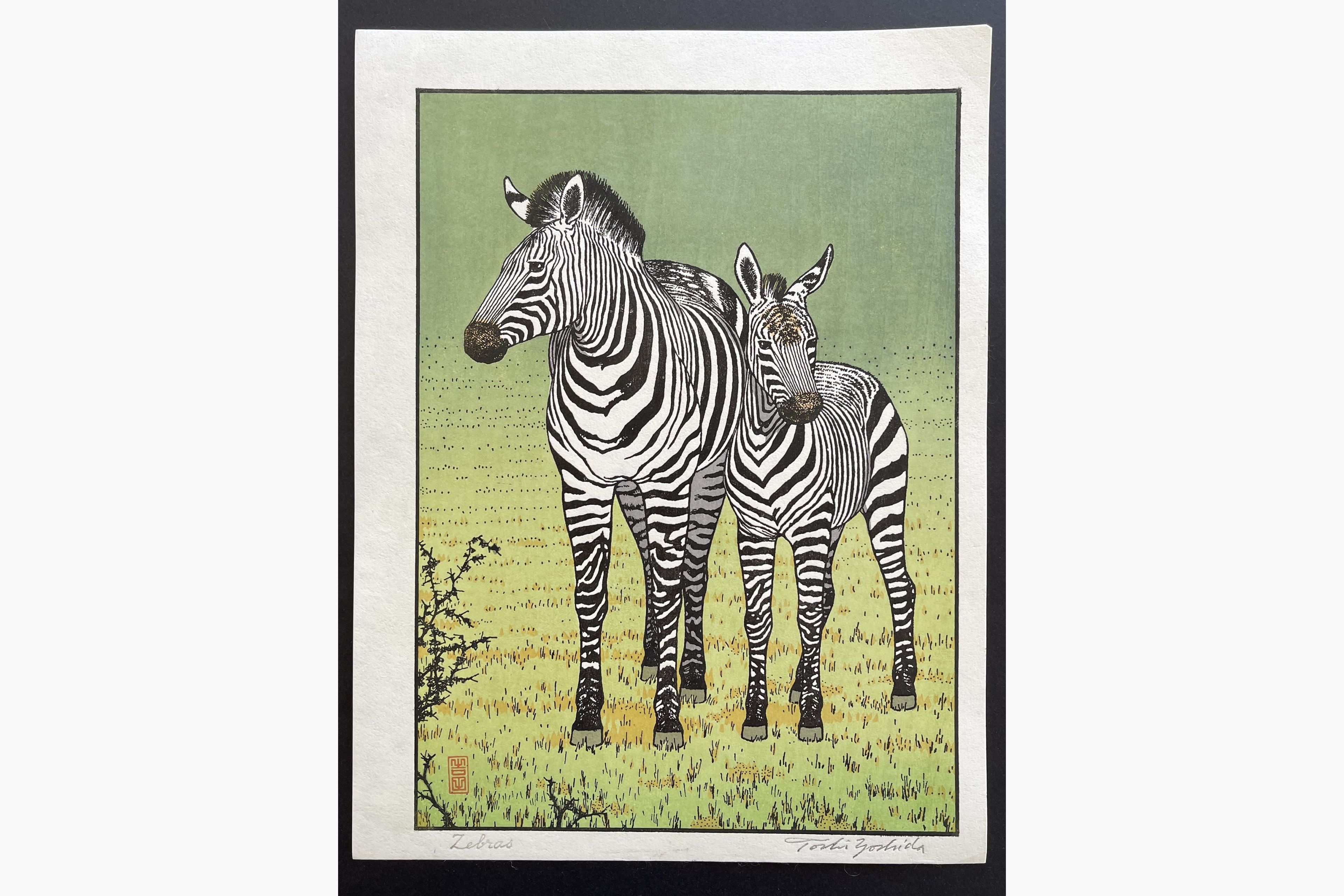 Japanese woodblock print - Toshi Yoshida - Zebras