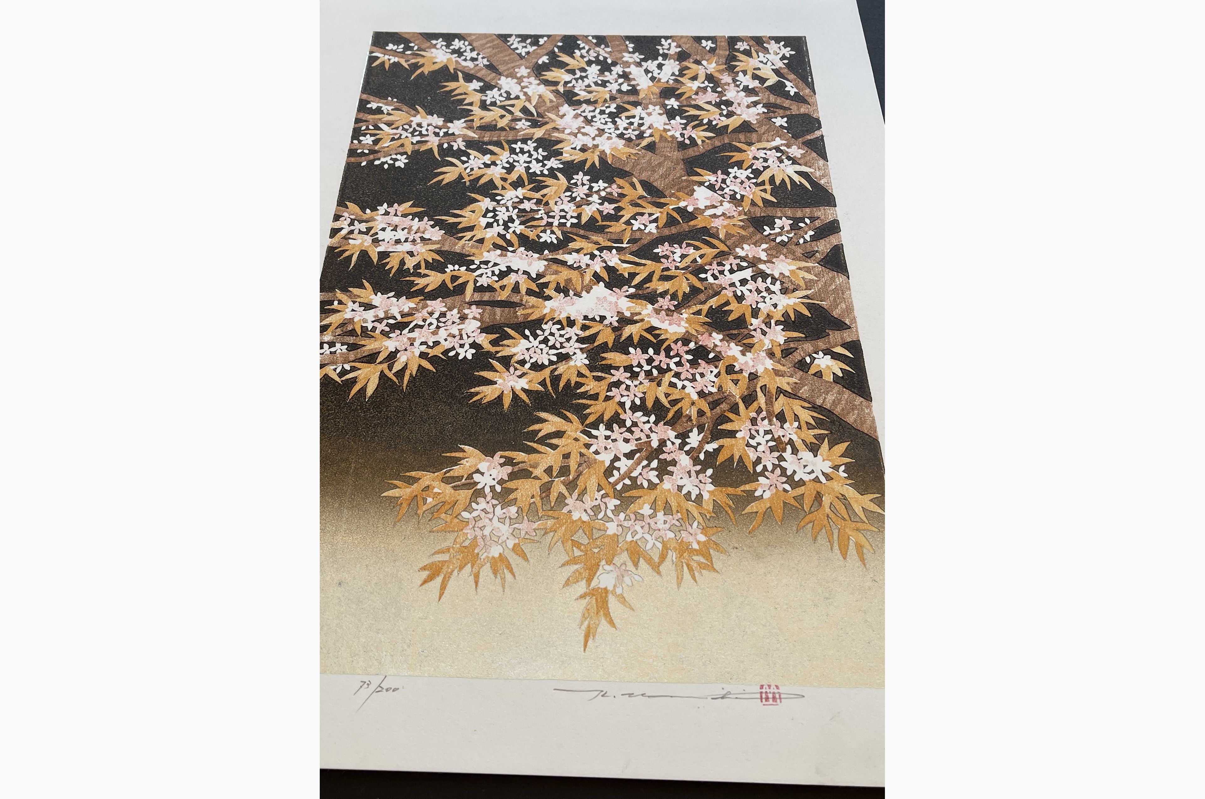 Japanese print - Hajime Namiki - Sakura 7