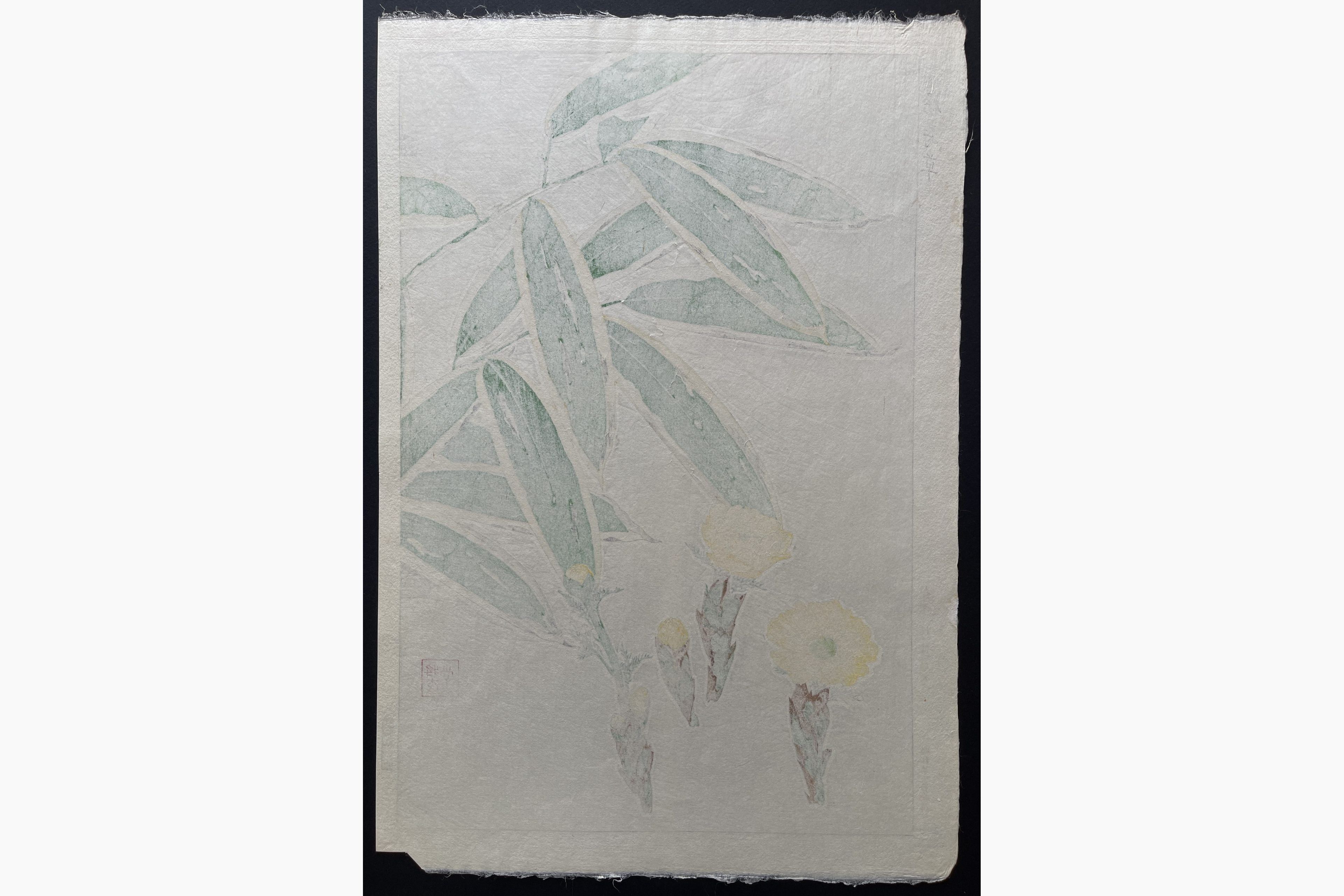 Japanese print - Kawarazaki Shodo - Adonis and Bamboo