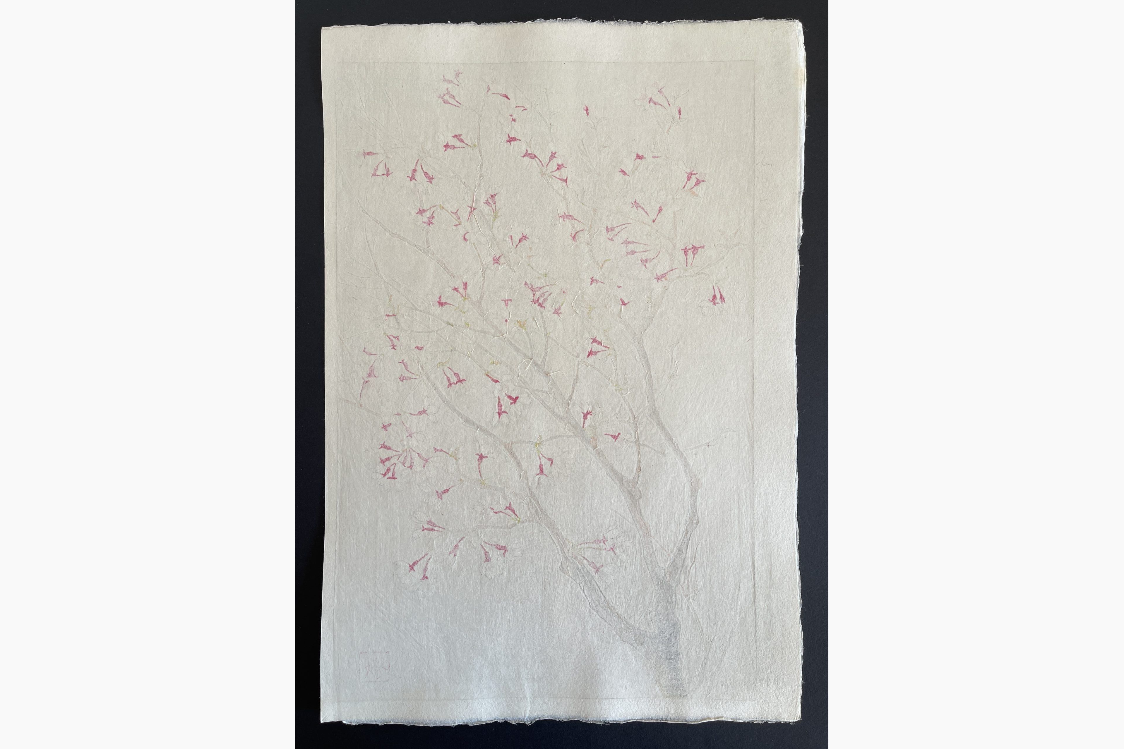 Japanese print - Kawarazaki Shodo - Wild Cherry