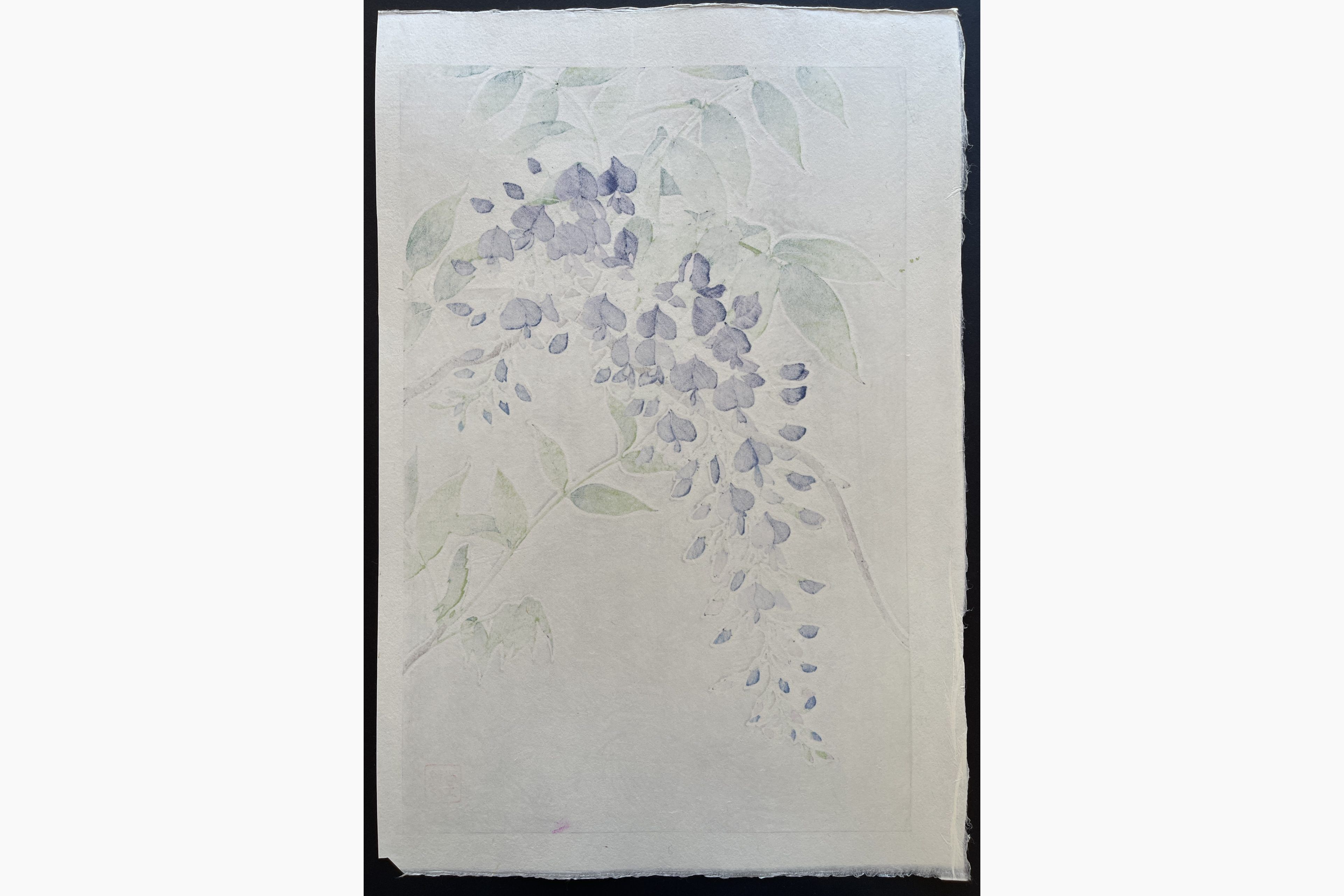 Japanese print - Kawarazaki Shodo - Wisteria