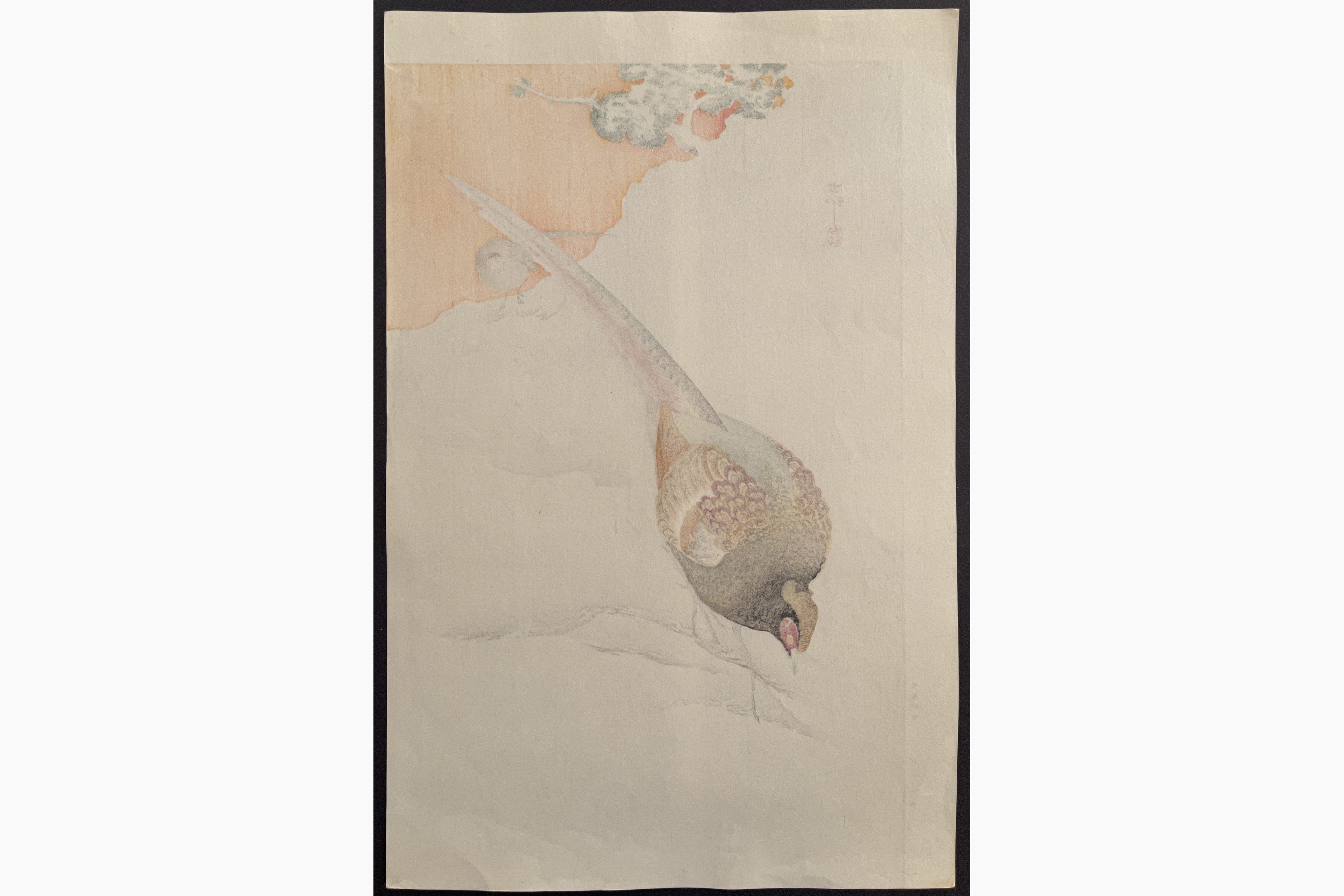 Japanese print - Ohara Koson - A Pair of Pheasants