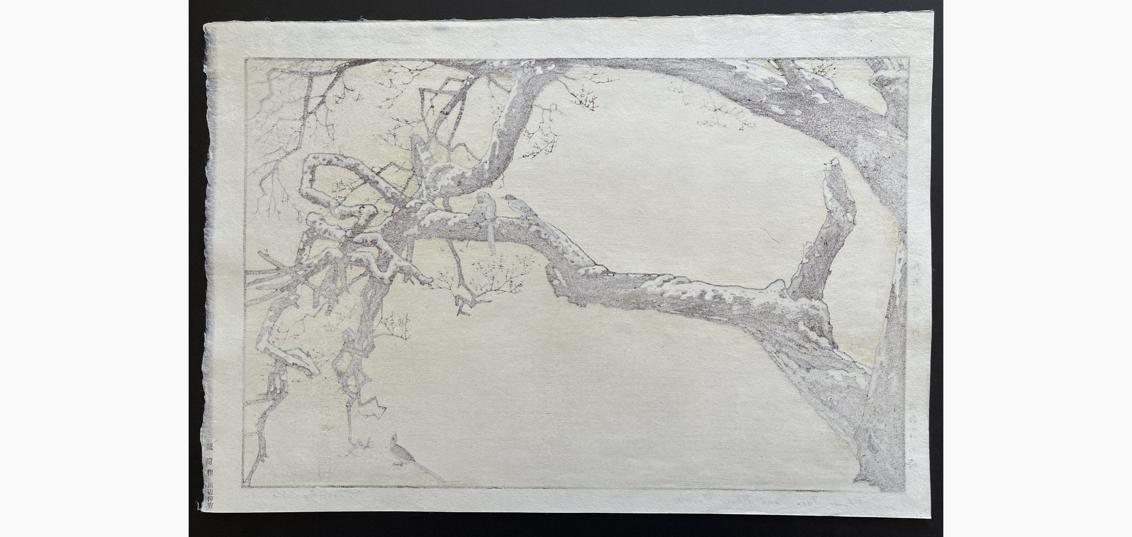 Japanese print - Toshi Yoshida - Plum Tree & Blue Magpie