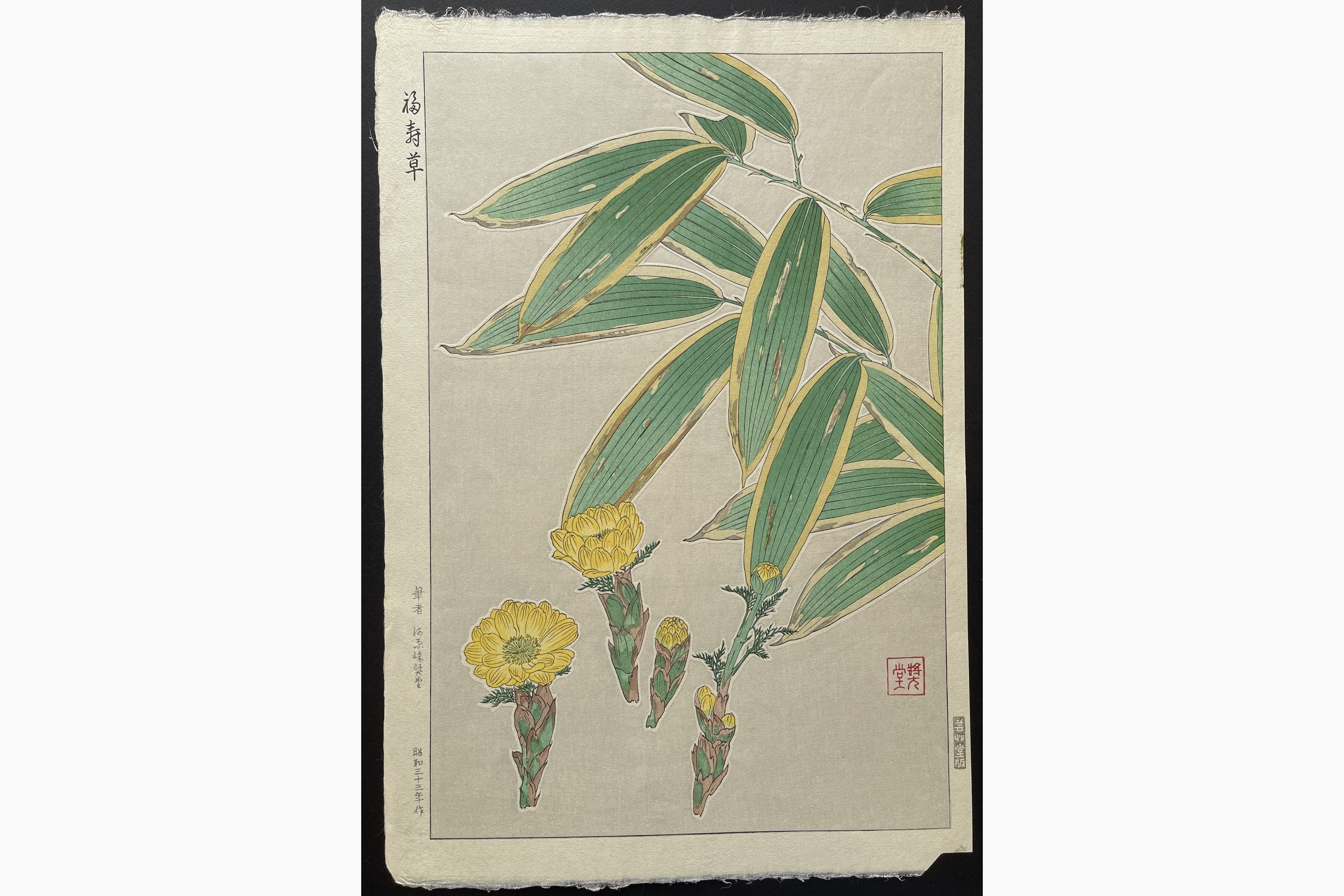 Japanese woodblock print - Kawarazaki Shodo - Adonis and Bamboo