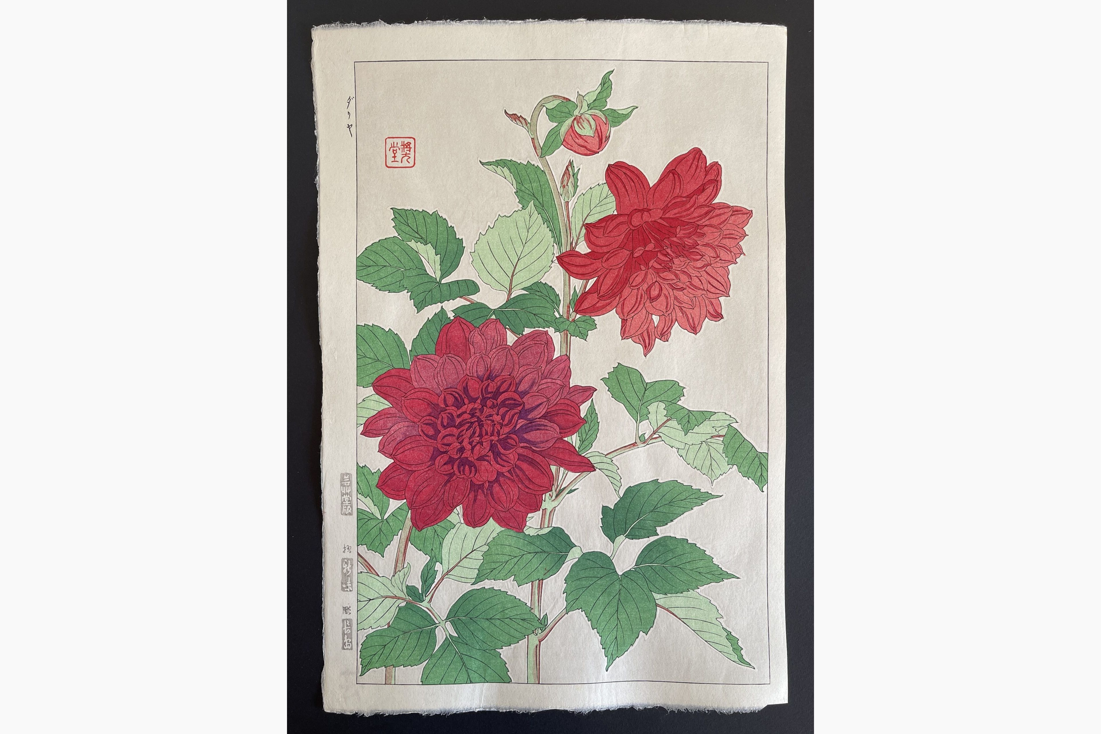 Japanese woodblock print - Kawarazaki Shodo - Dahlia (Red)