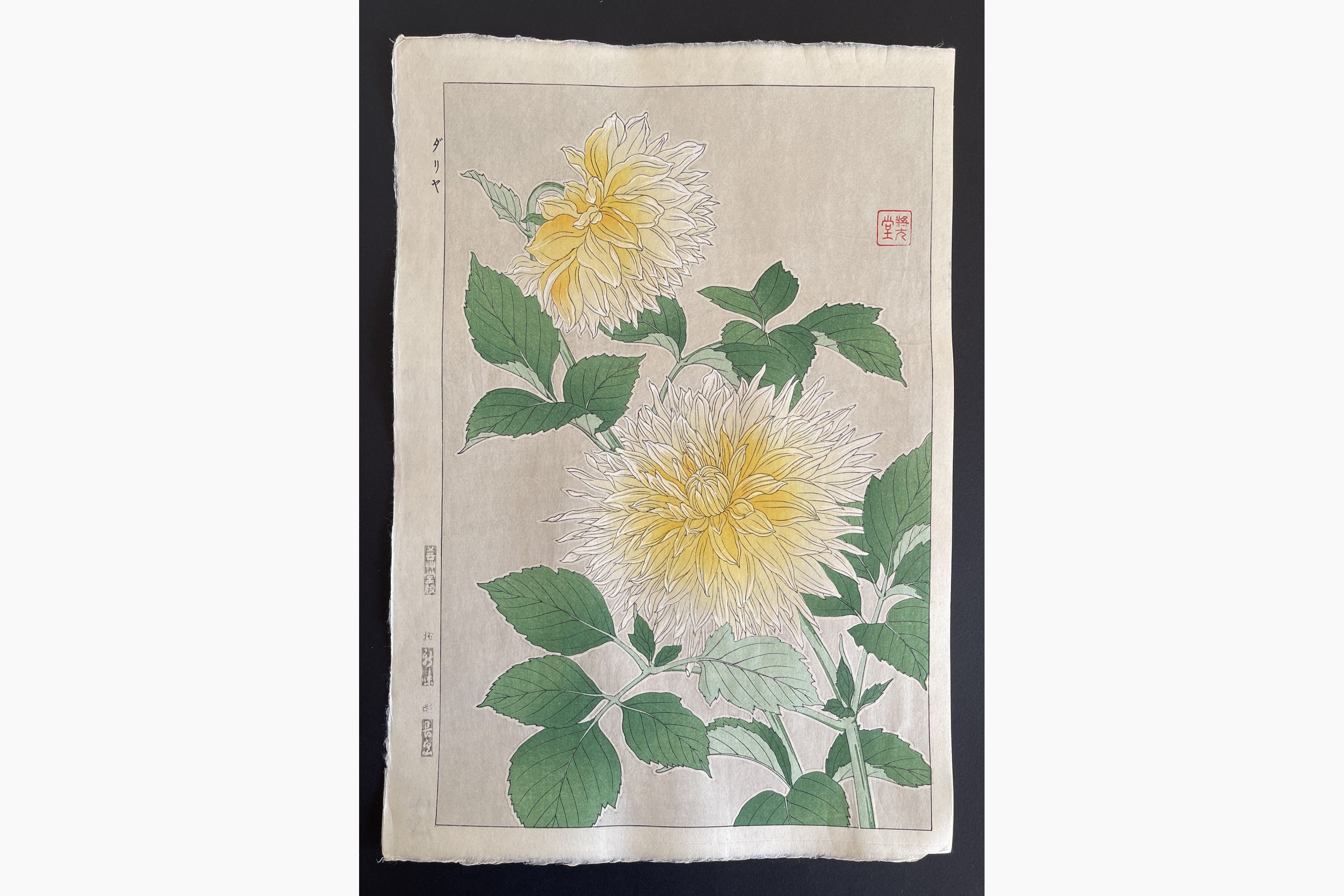 Japanese woodblock print - Kawarazaki Shodo - Dahlia (Yellow)