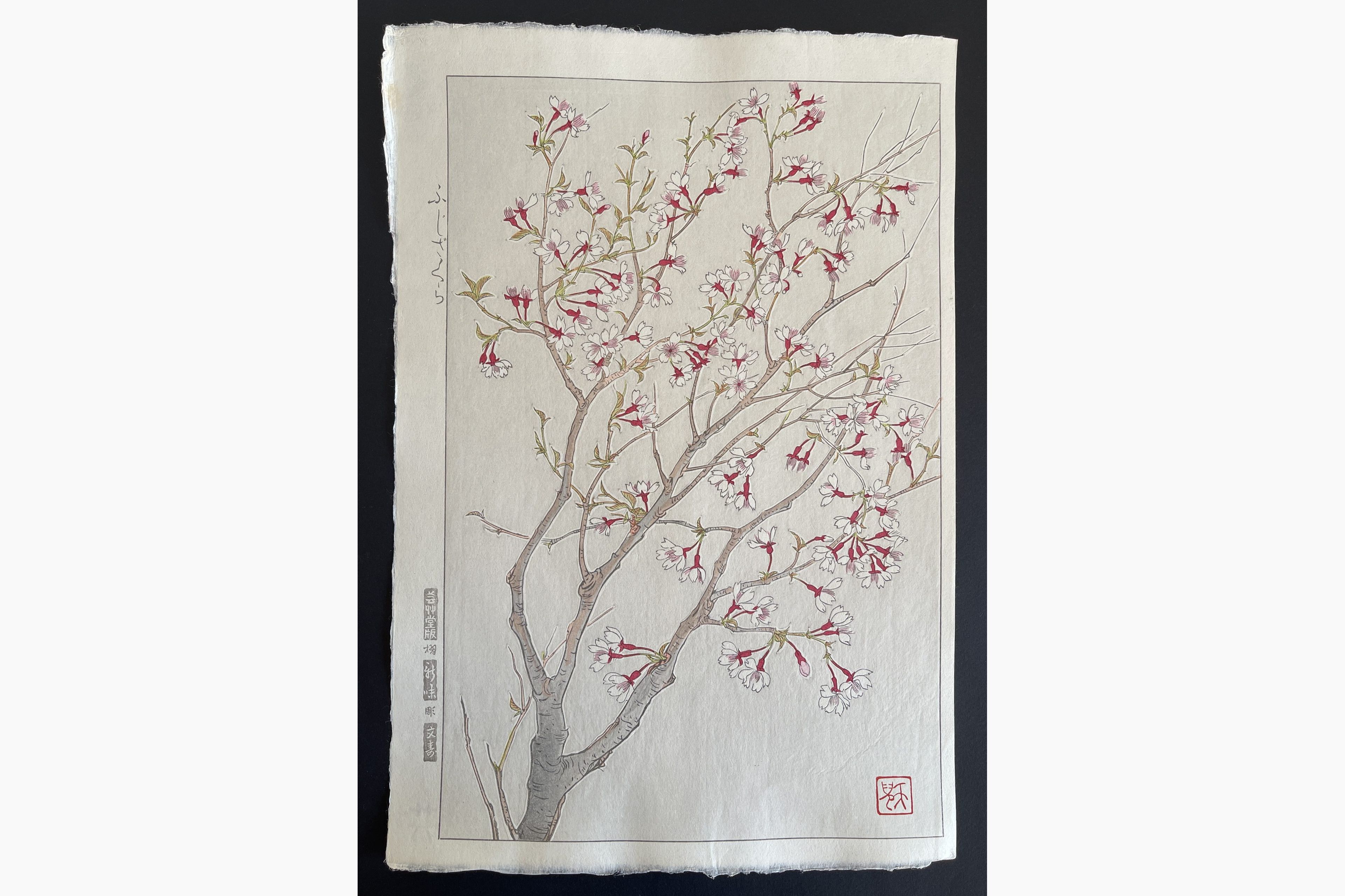 Japanese woodblock print - Kawarazaki Shodo - Wild Cherry