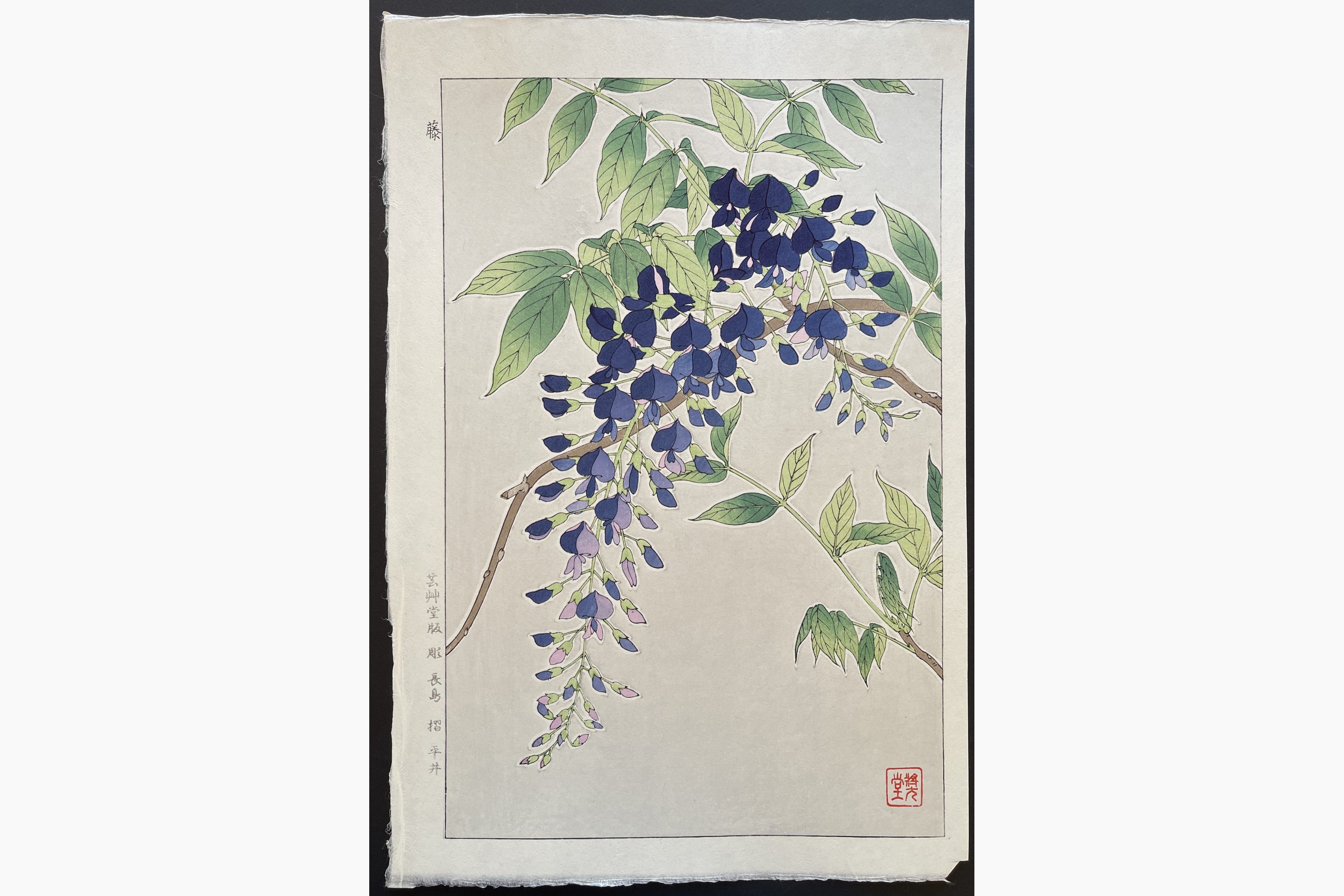 Japanese woodblock print - Kawarazaki Shodo - Wisteria