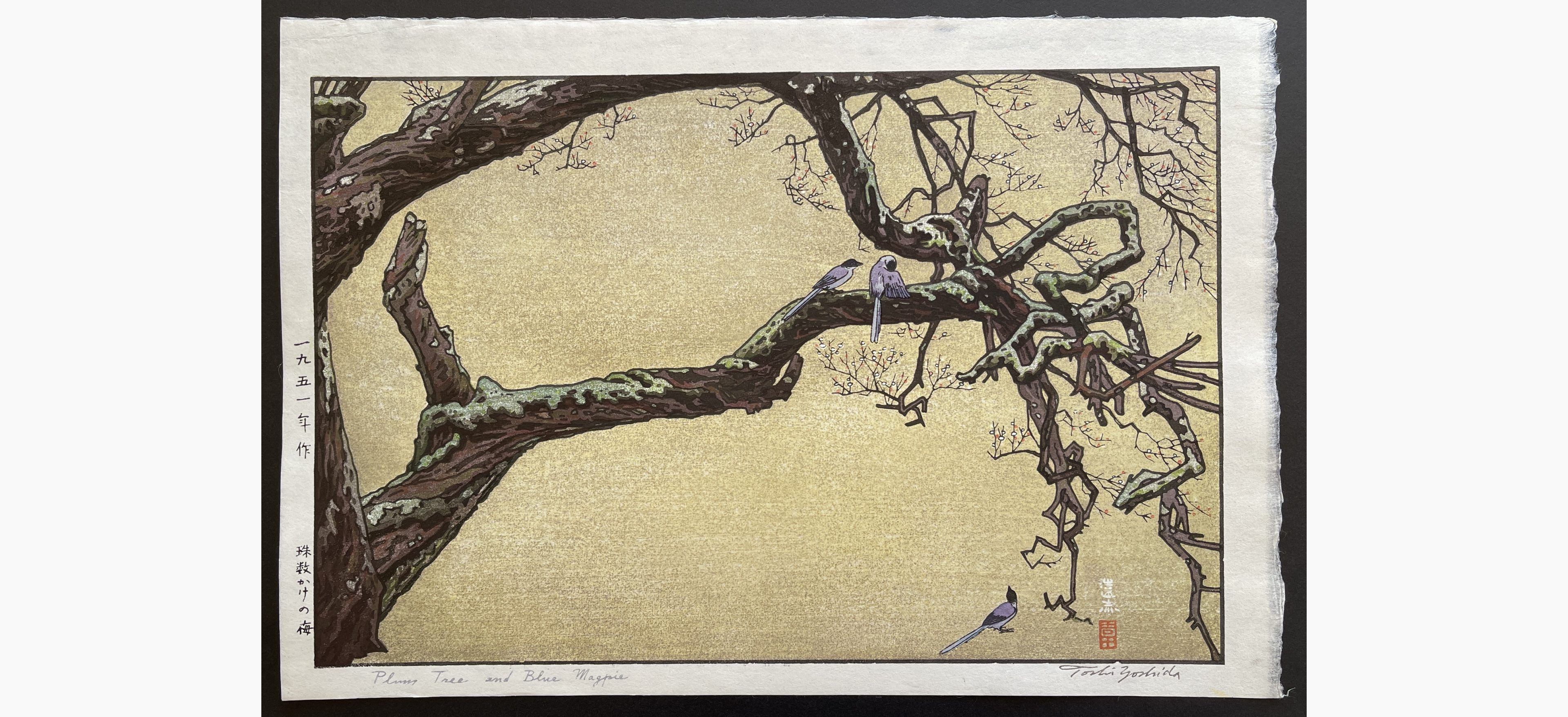 Japanese woodblock print - Toshi Yoshida - Plum Tree & Blue Magpie