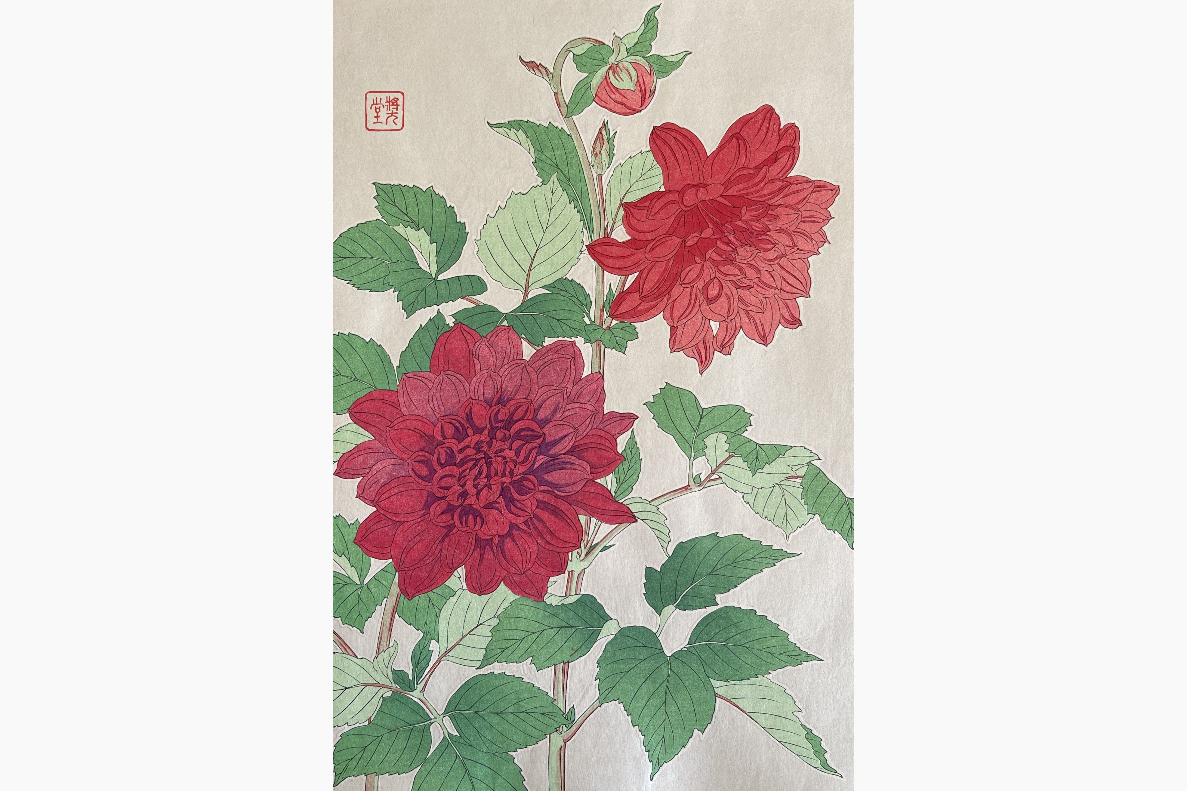 Original woodblock print - Kawarazaki Shodo - Dahlia (Red)