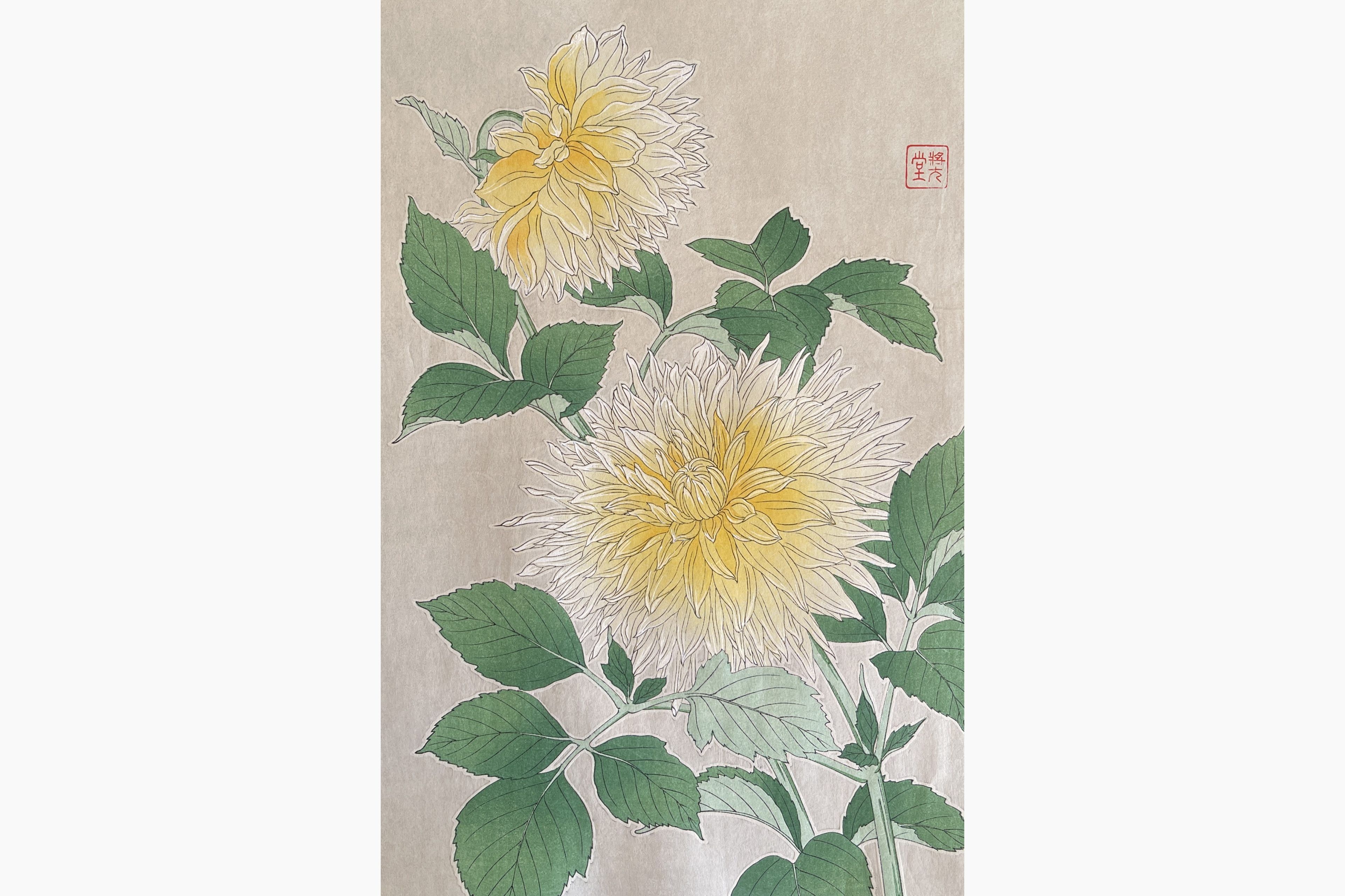 Original woodblock print - Kawarazaki Shodo - Dahlia (Yellow)