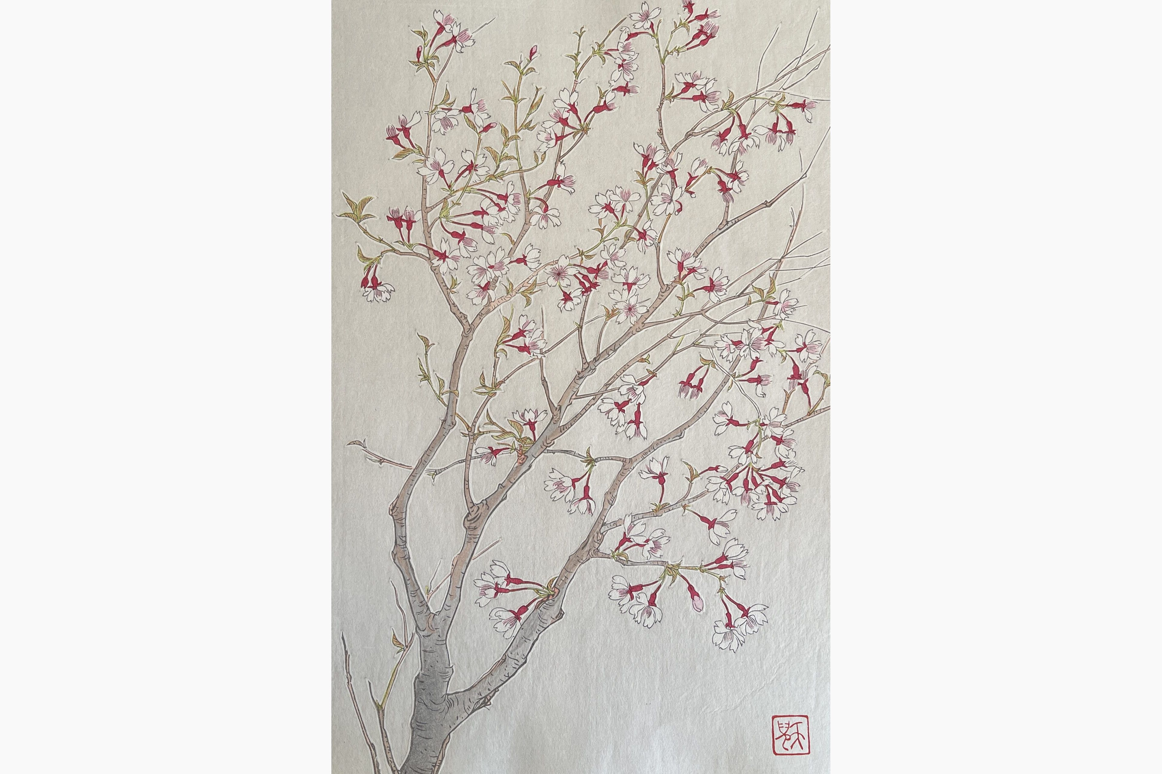 Original woodblock print - Kawarazaki Shodo - Wild Cherry