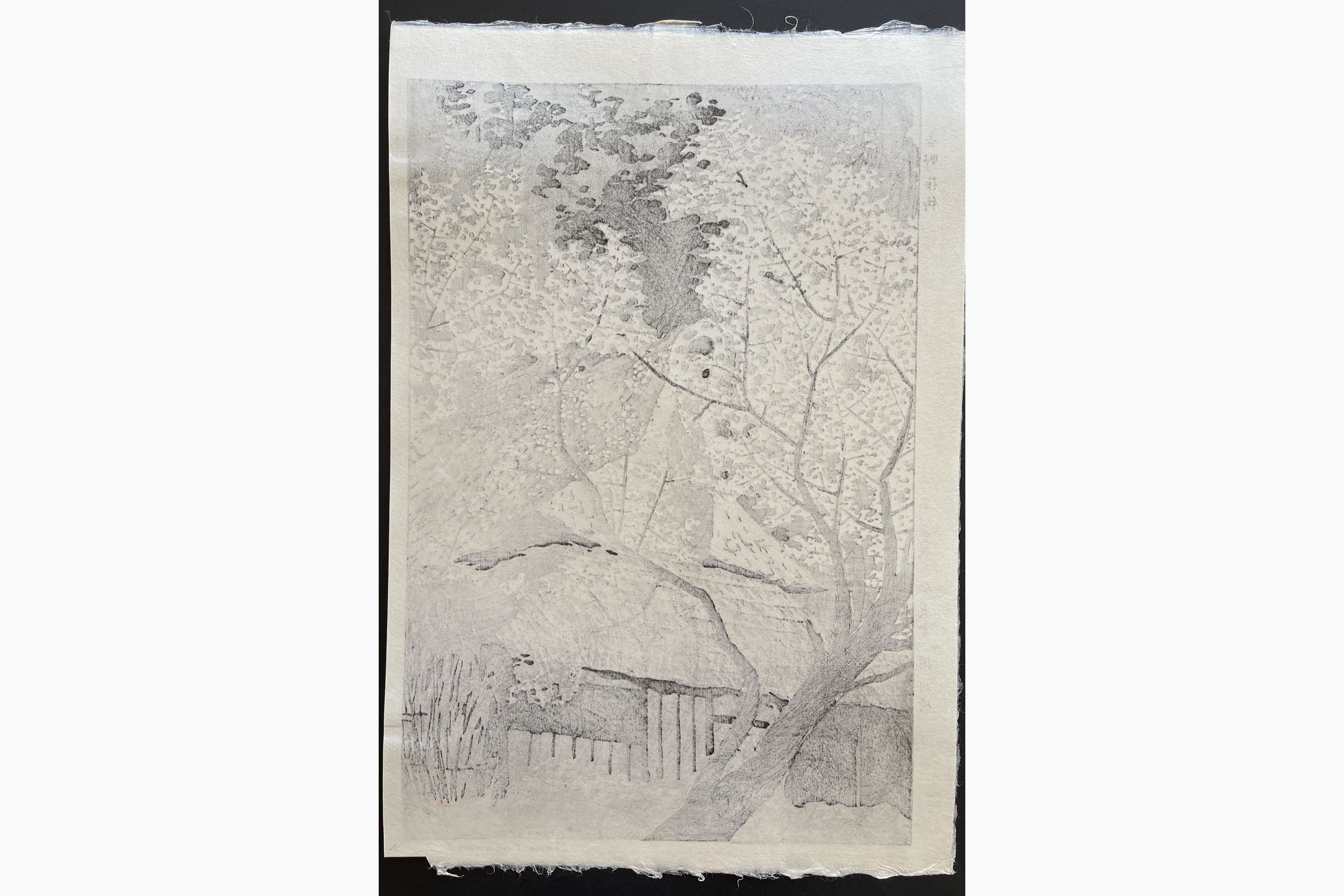 Japanese print - Kasamatsu Shiro - Plum Trees at Yoshino