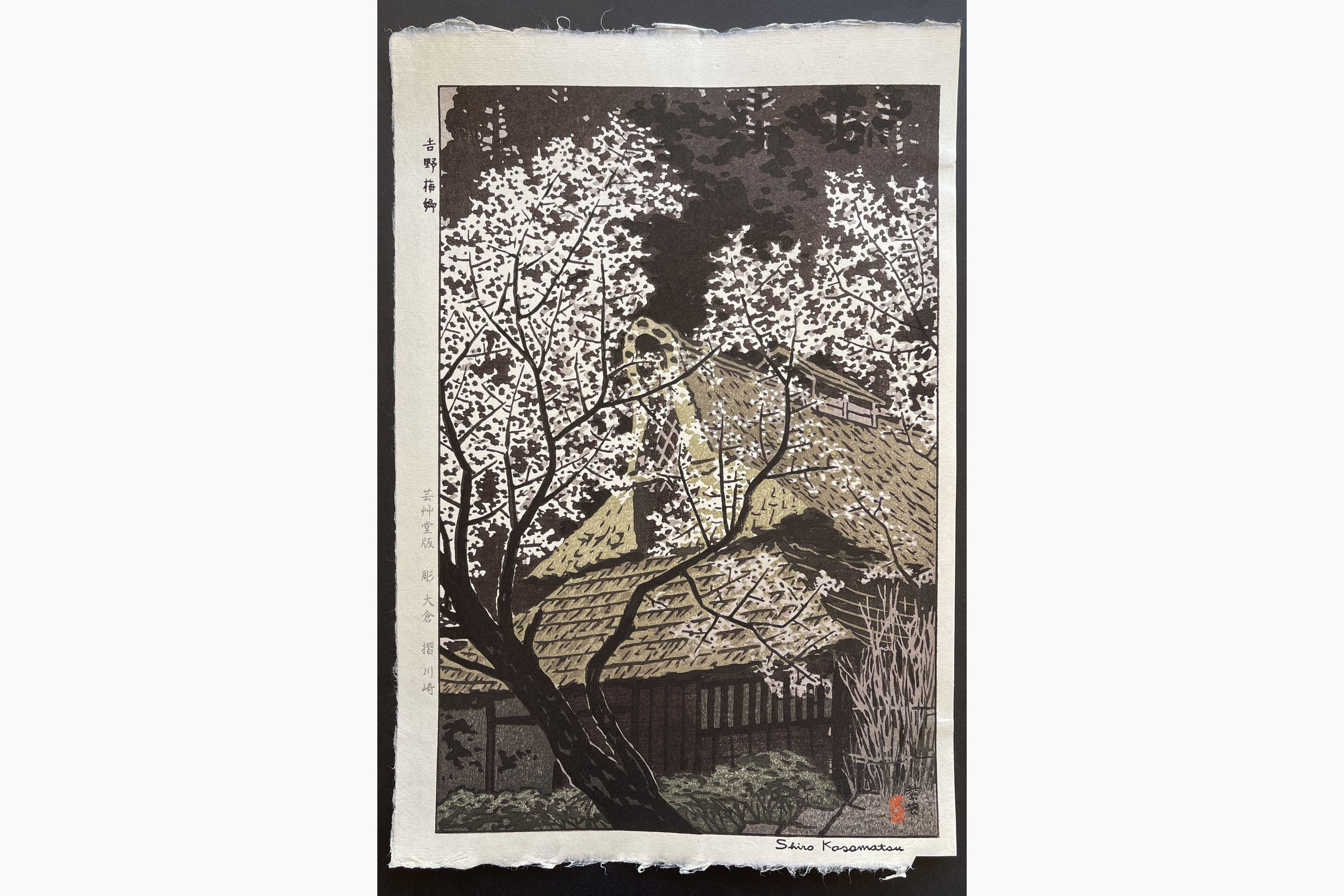Japanese woodblock print - Kasamatsu Shiro - Plum Trees at Yoshino