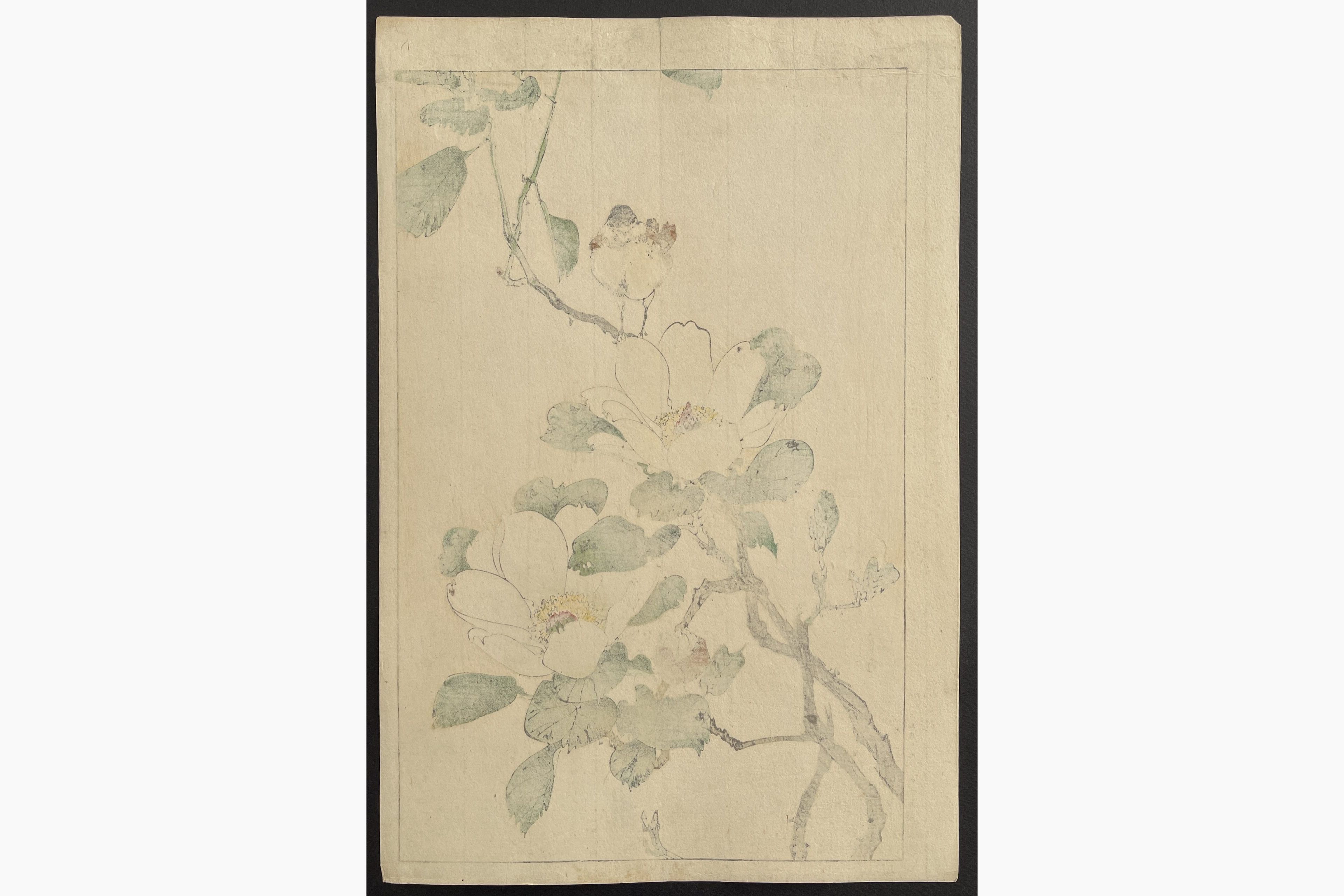 Japanese print - Gesso Yoshimoto - Bird and Magnolia