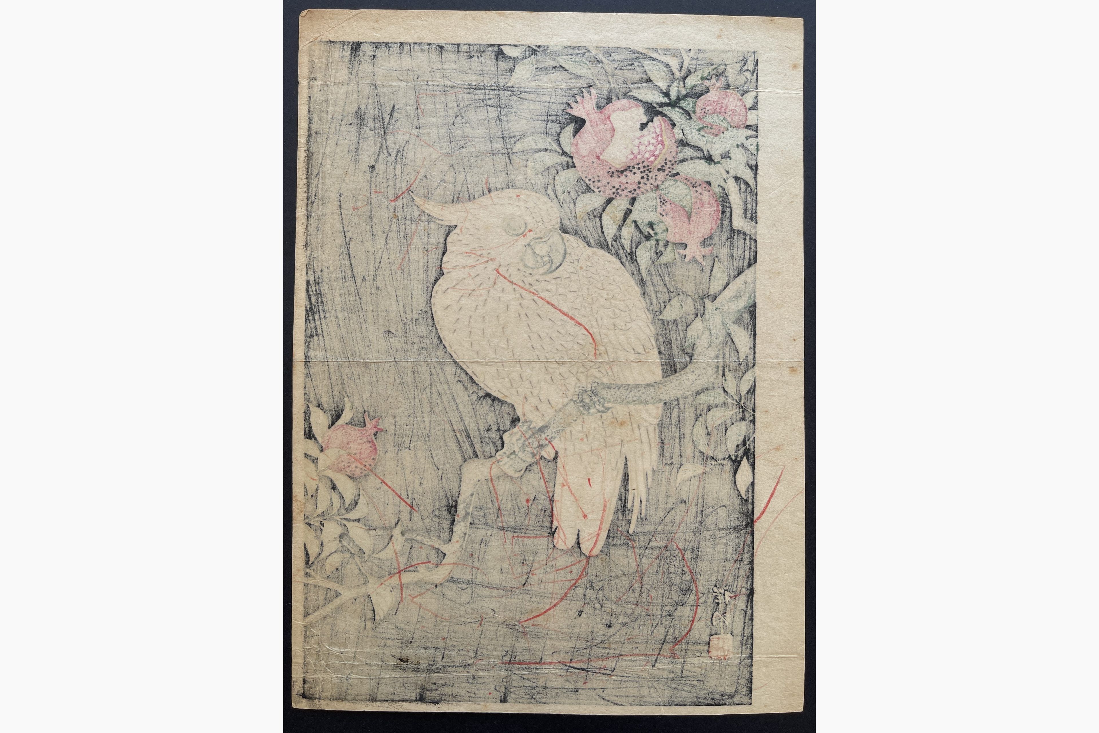 Japanese print - Ohara Koson - Cockatoo and Pomegranate
