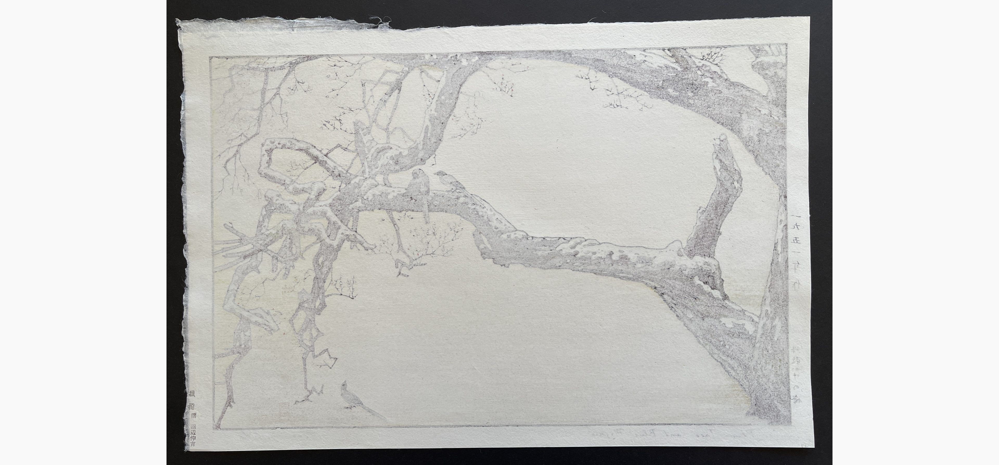 Japanese print - Toshi Yoshida - Plum Tree & Blue Magpie