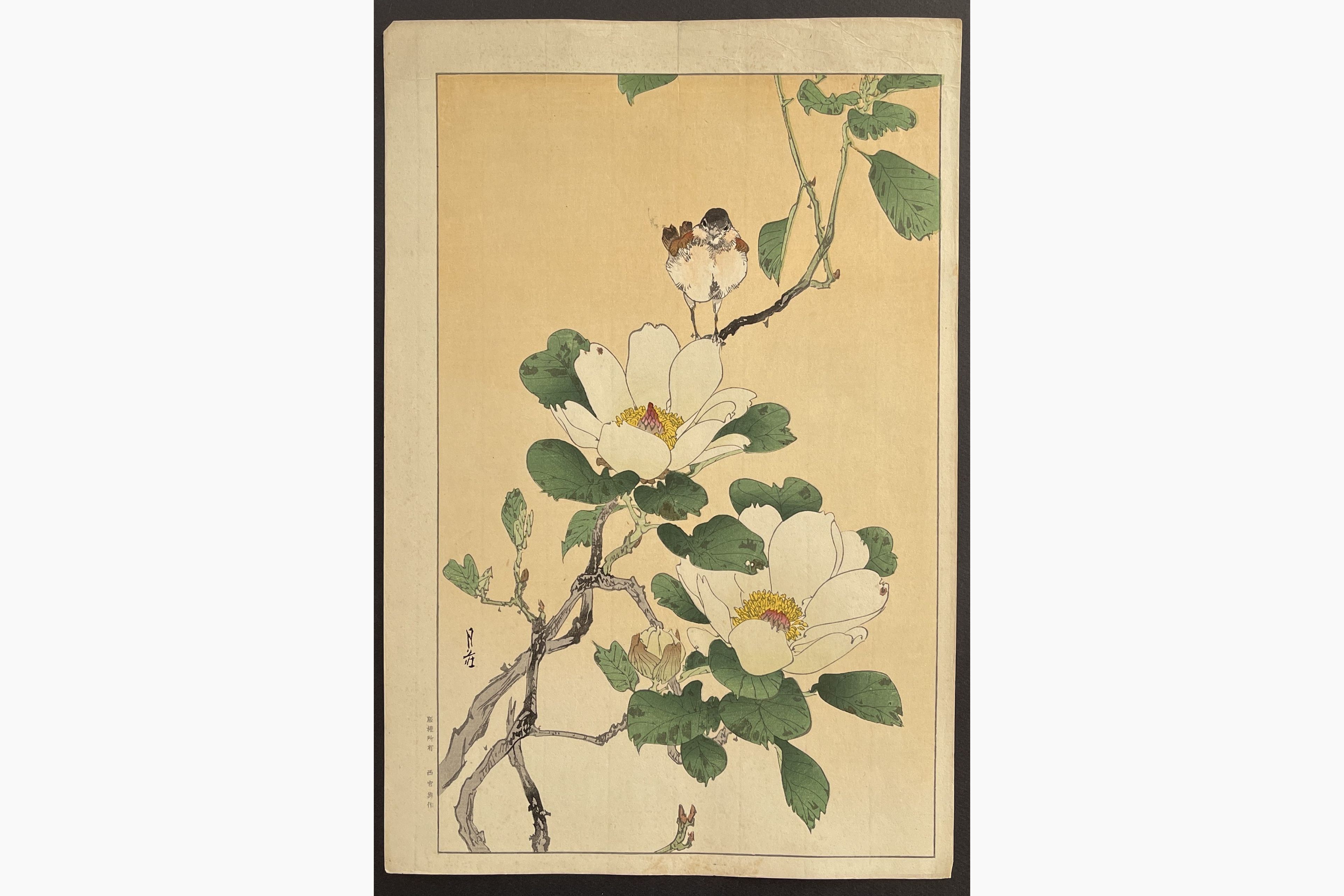 Japanese woodblock print - Gesso Yoshimoto - Bird and Magnolia