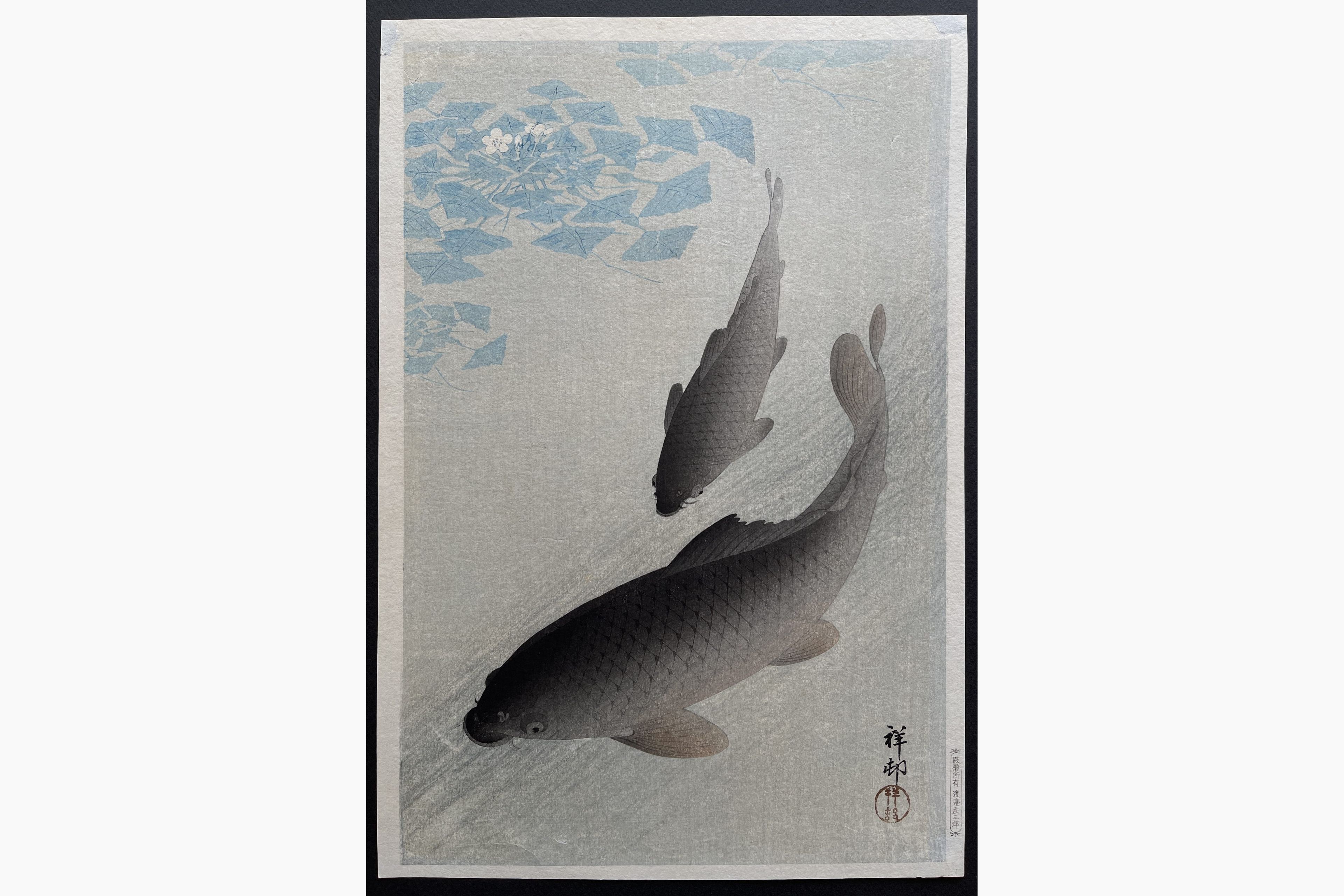 Japanese woodblock print - Ohara Koson - Carp and Water Plants