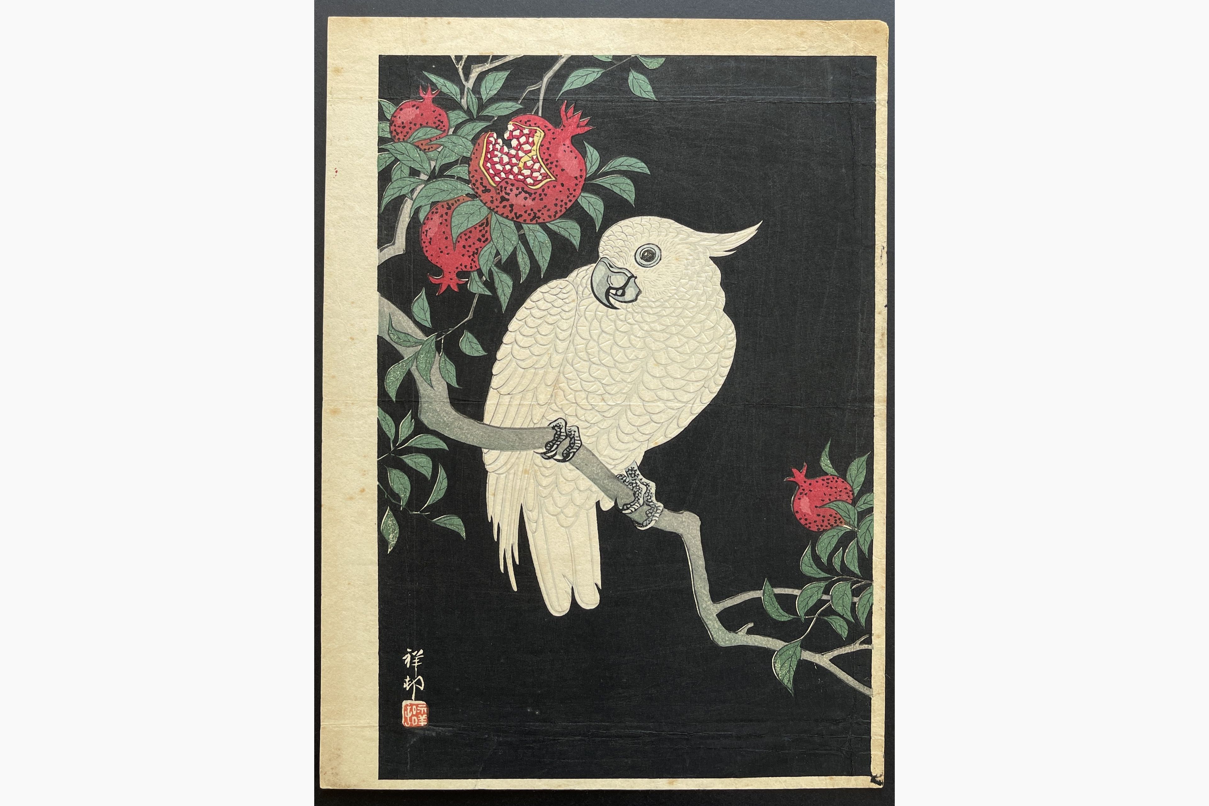 Japanese woodblock print - Ohara Koson - Cockatoo and Pomegranate