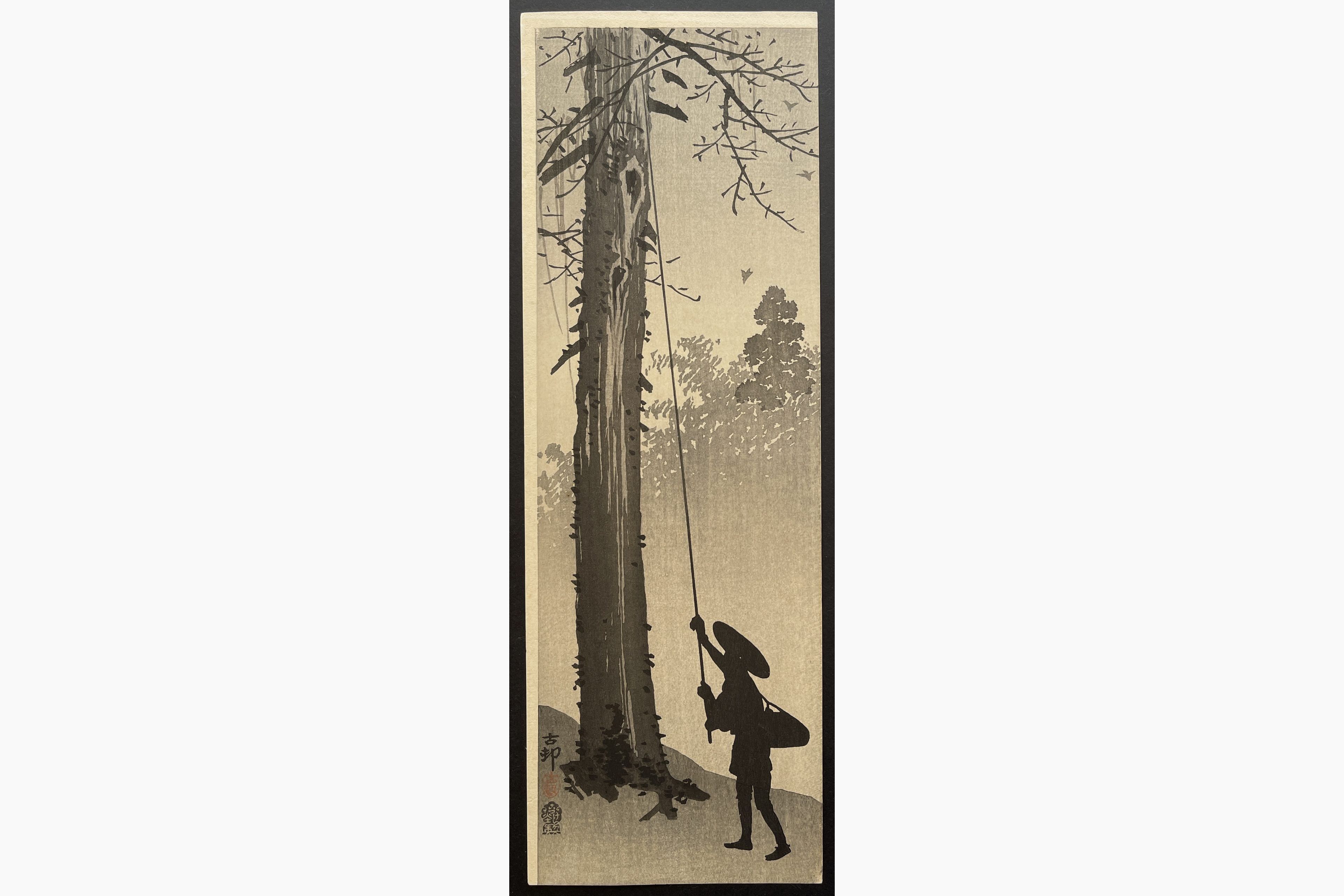 Japanese woodblock print - Ohara Koson - Man Harvesting a Nest