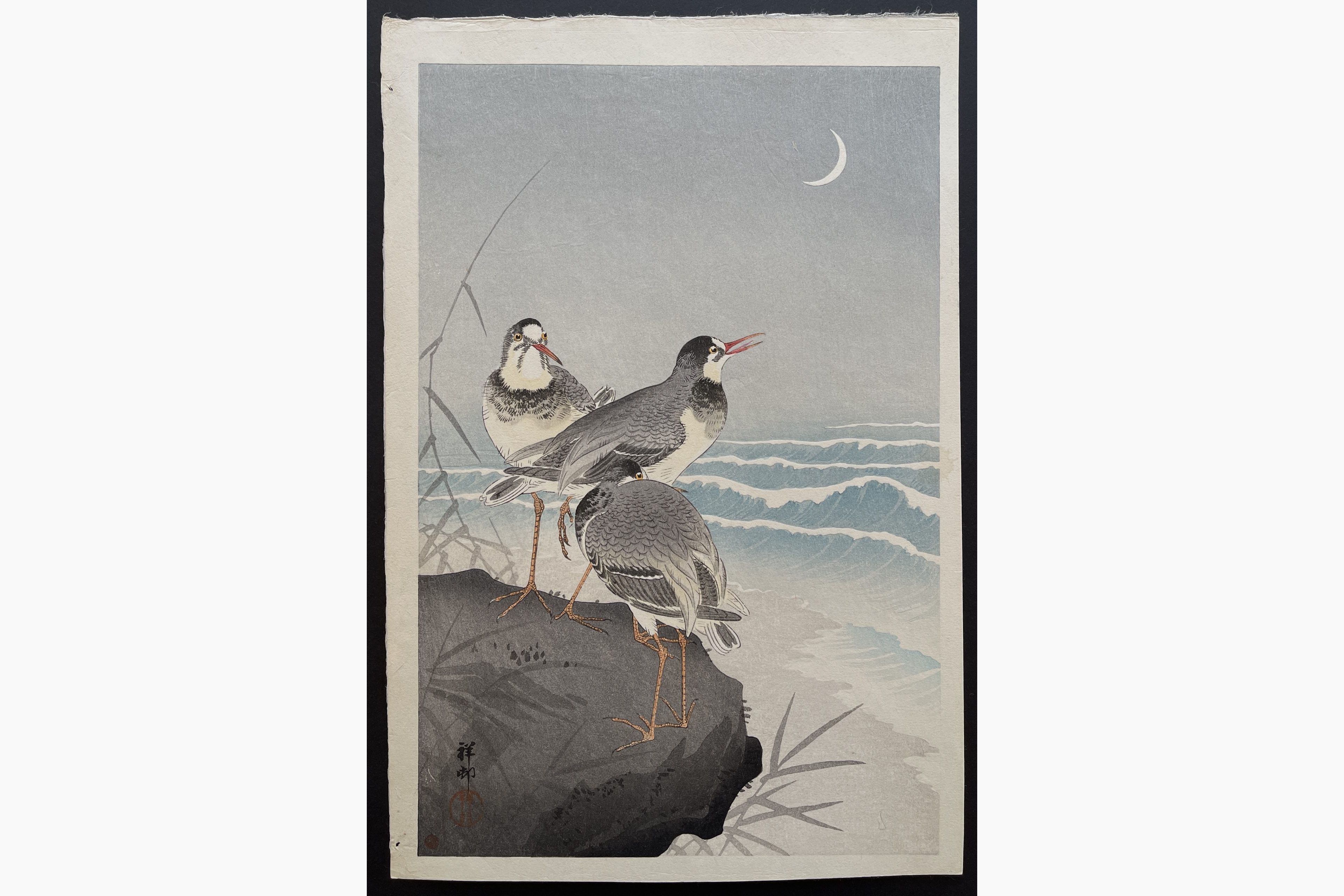 Japanese woodblock print - Ohara Koson - Thee Plovers on a Rock, the Seaside and a Crescent Moon behind.