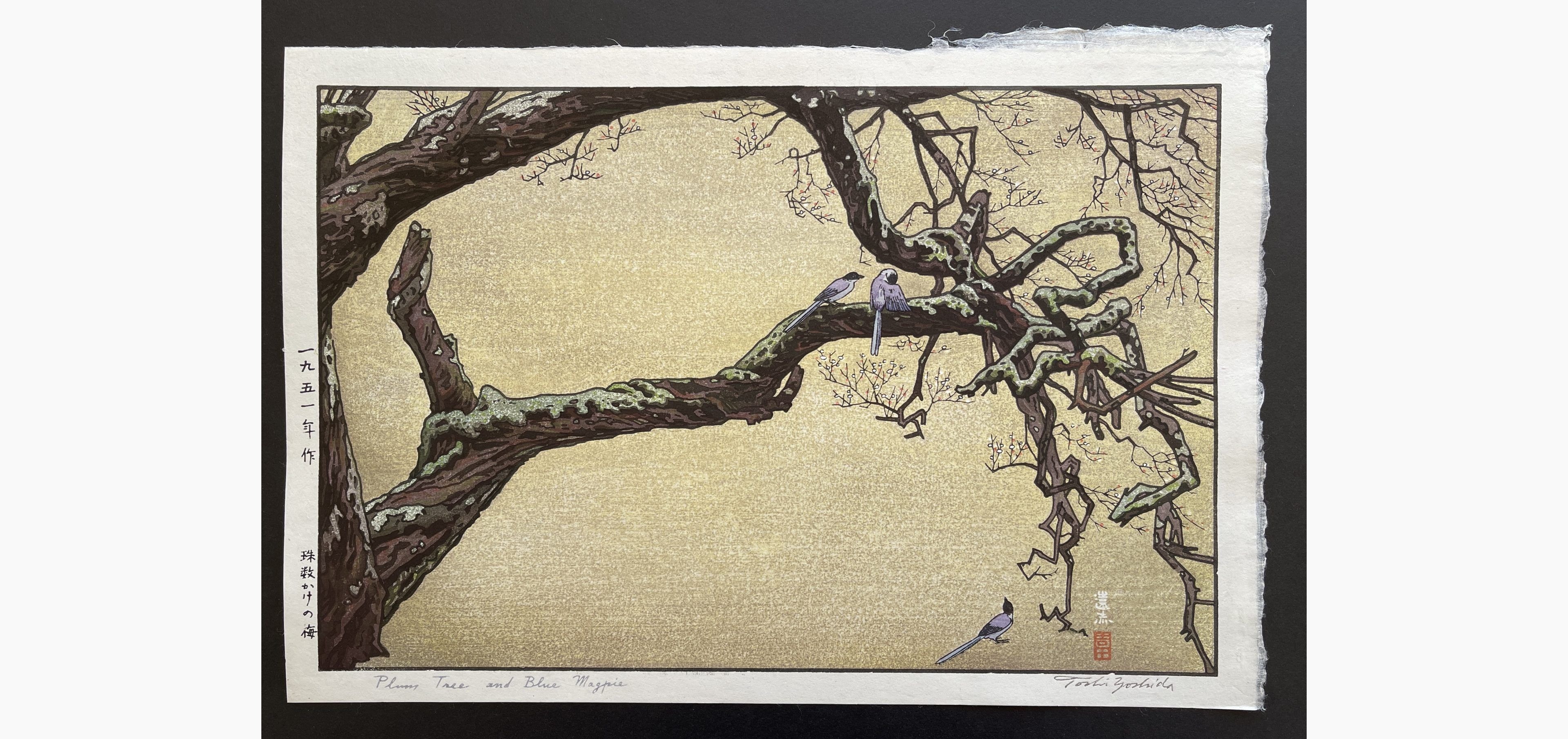 Japanese woodblock print - Toshi Yoshida - Plum Tree & Blue Magpie
