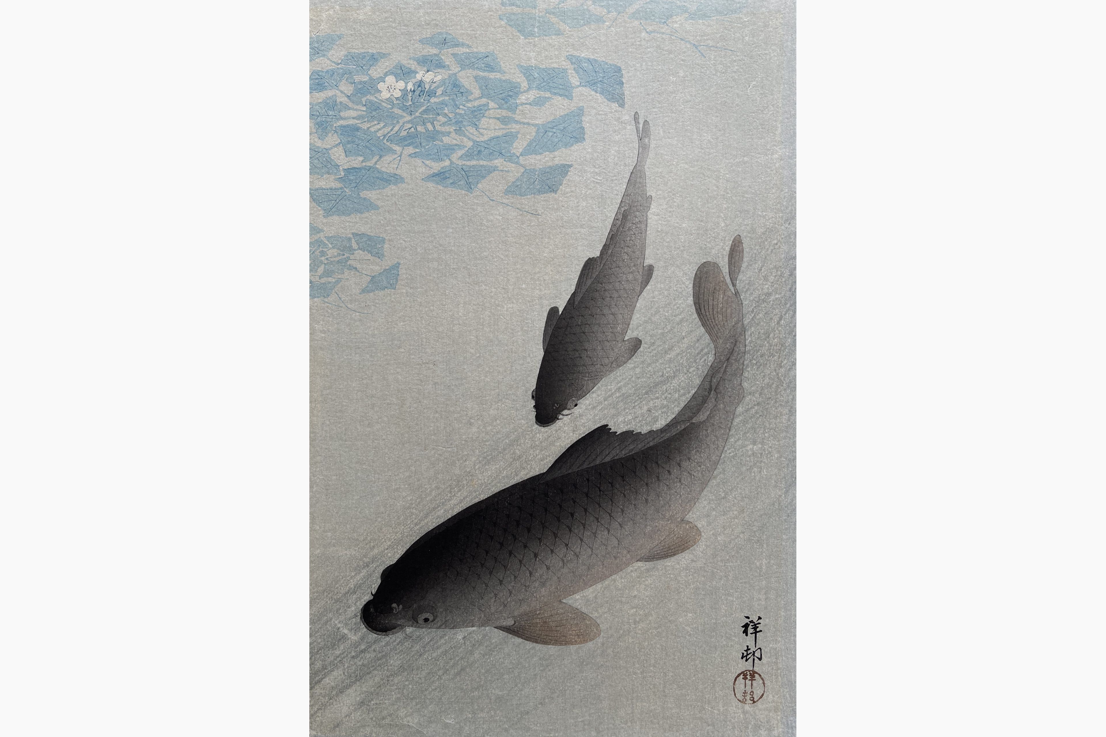 Original woodblock print - Ohara Koson - Carp and Water Plants