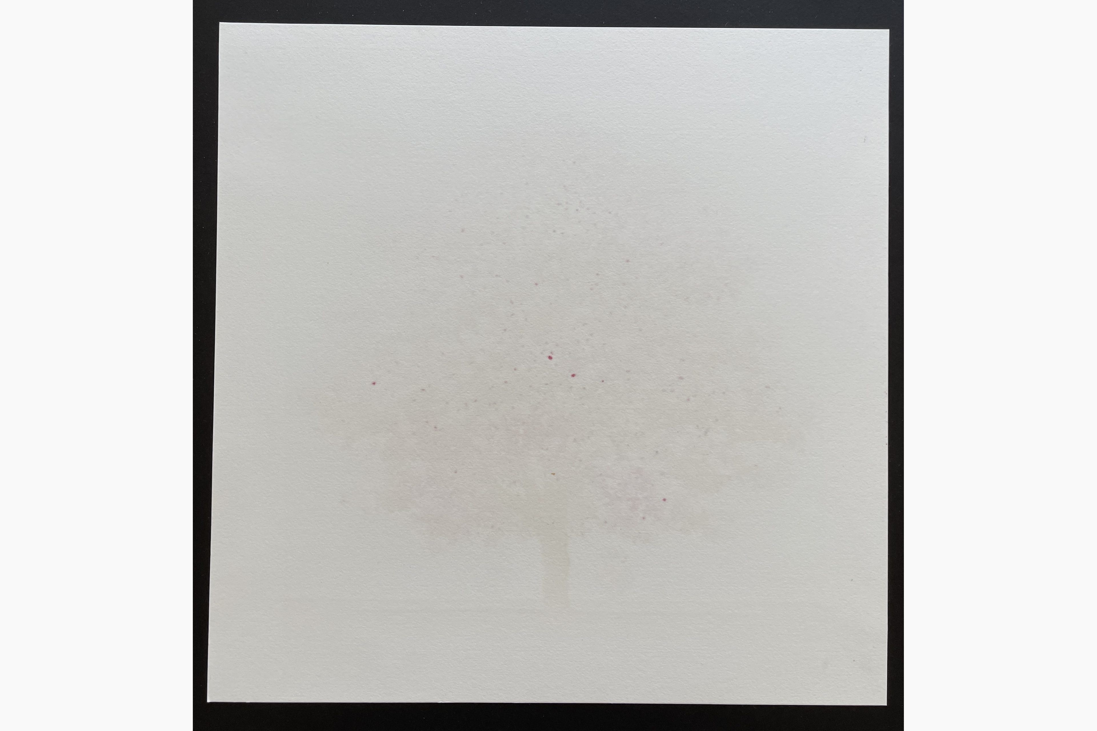 Woodblock print - Hajime Namiki - Dogwood 13