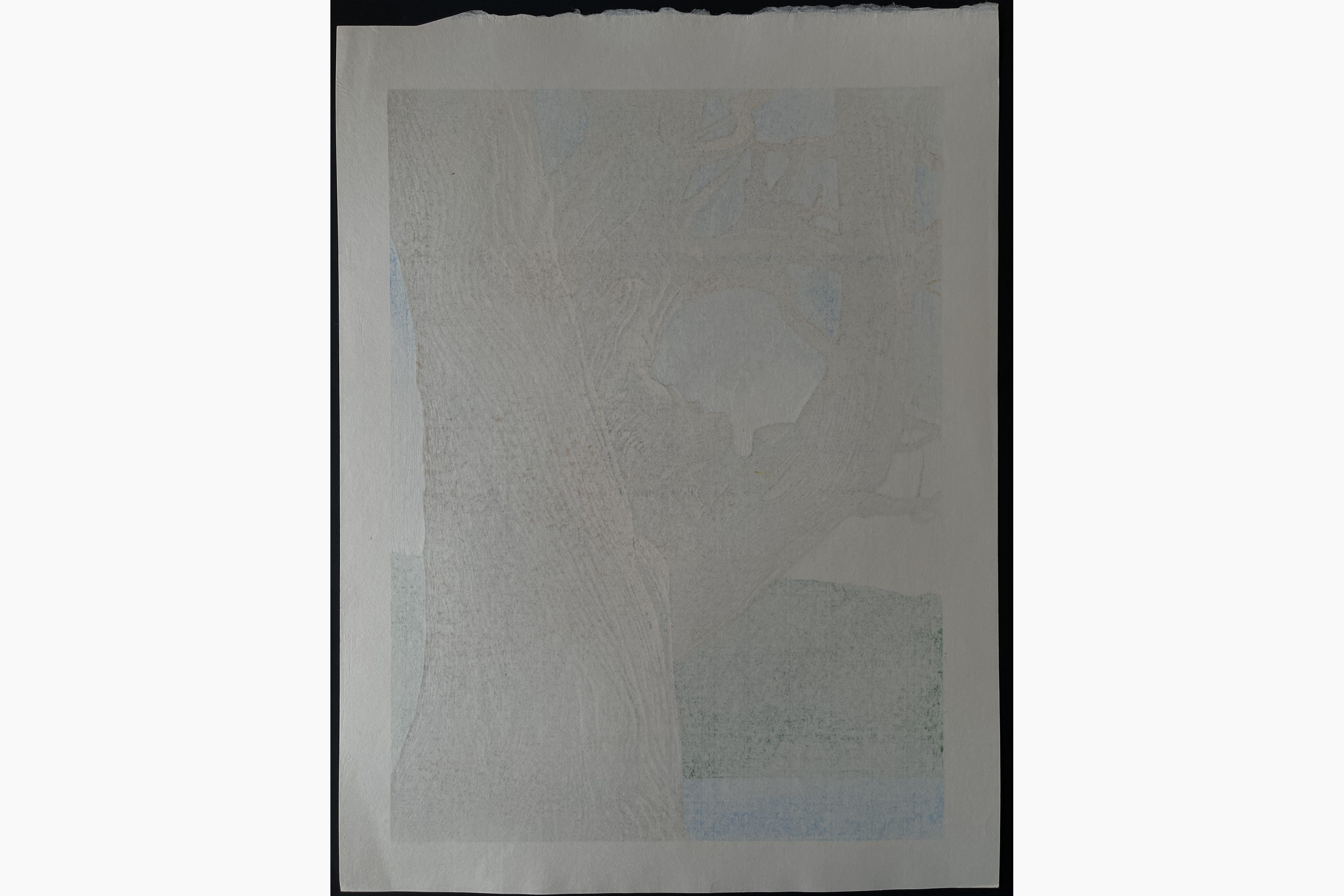 Japanese print - Koichi Maeda - Juniper II