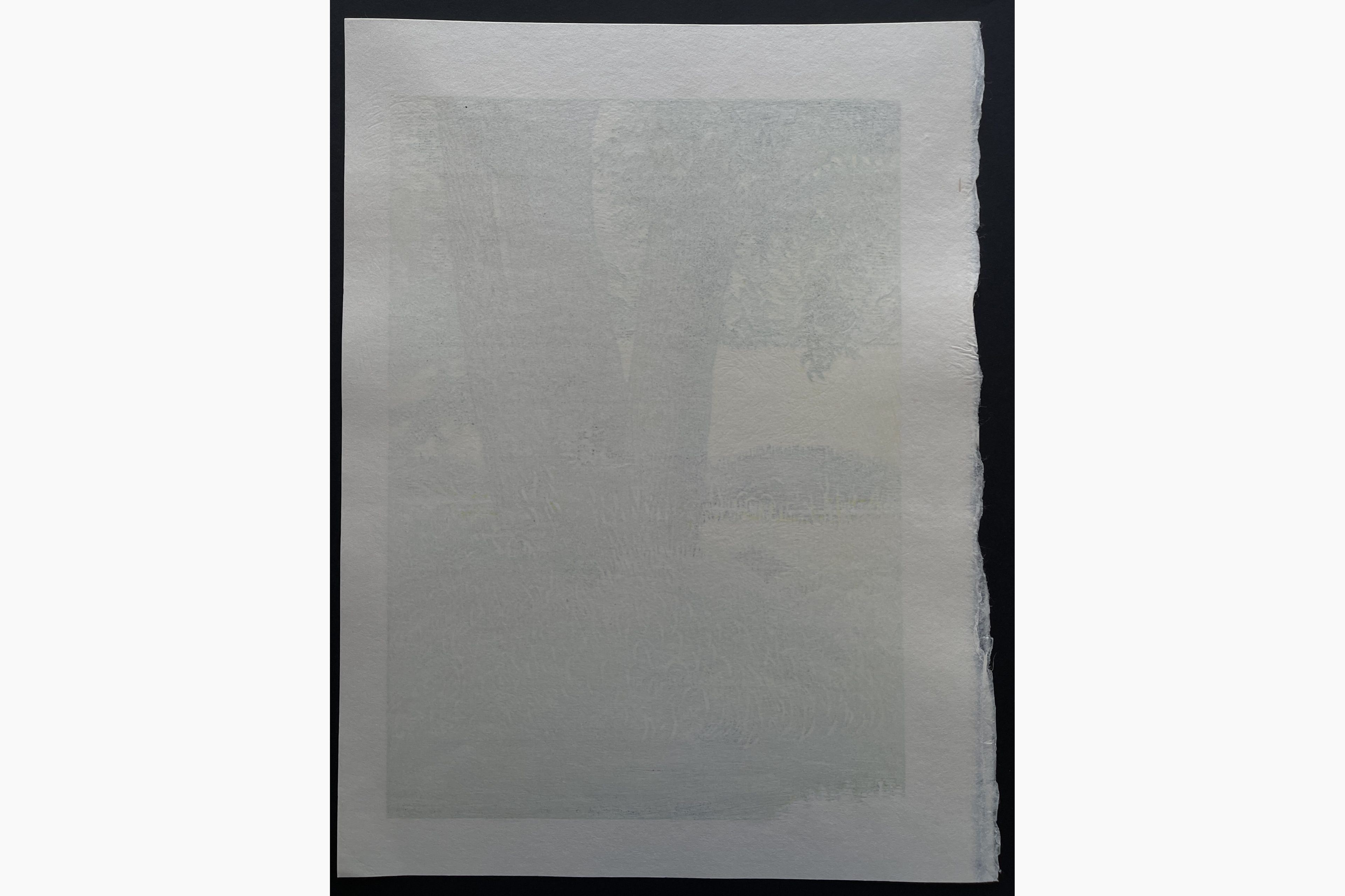 Japanese print - Koichi Maeda - Waterside and Green Shade