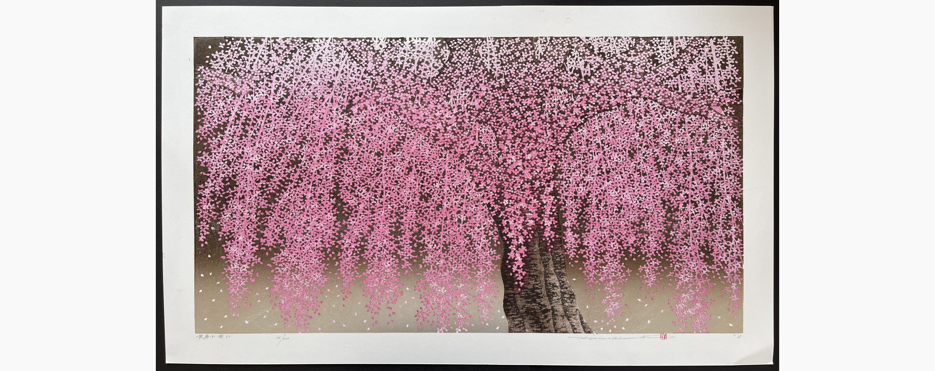 Japanese woodblock print - Hajime Namiki - Weeping Cherry 30