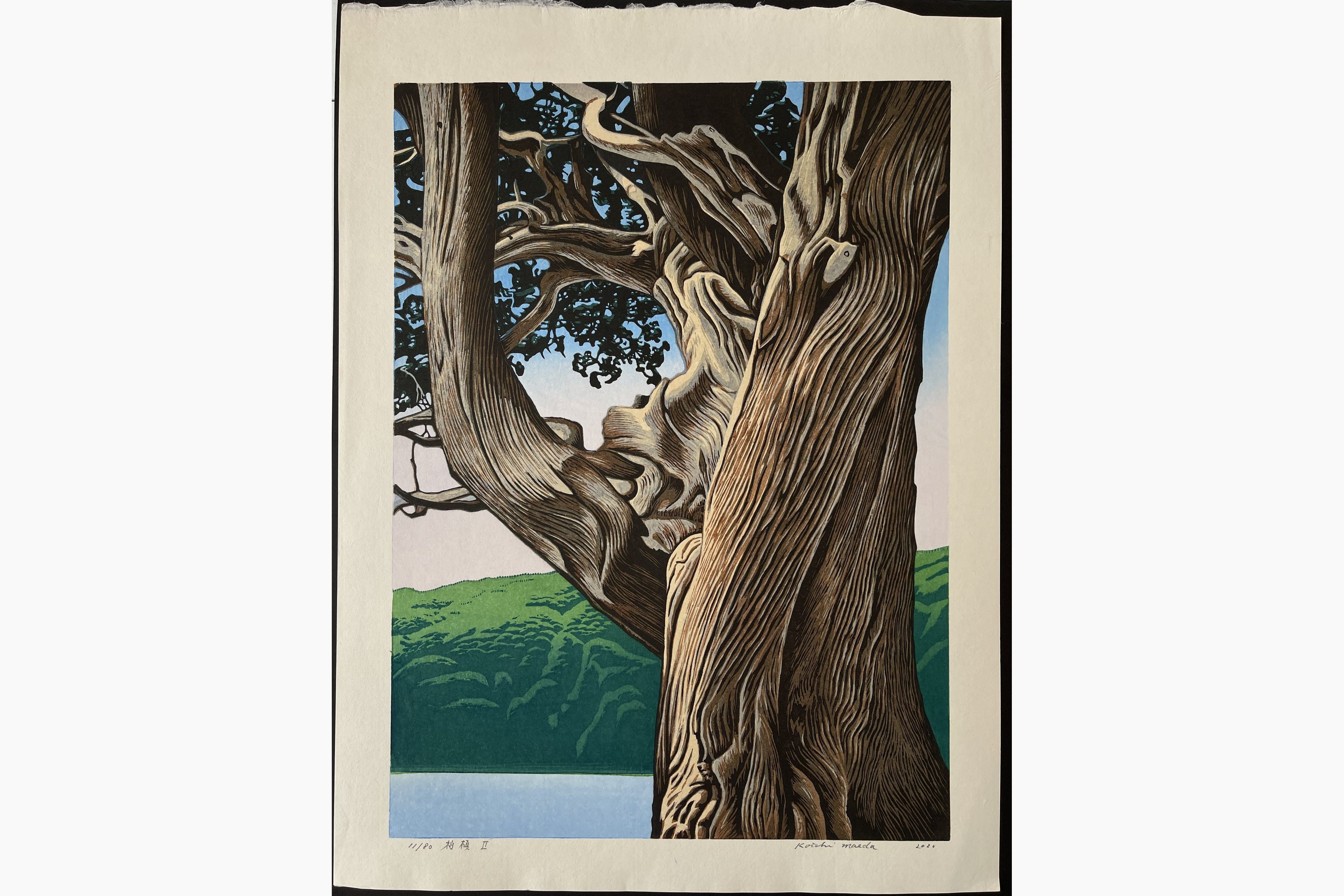 Japanese woodblock print - Koichi Maeda - Juniper II