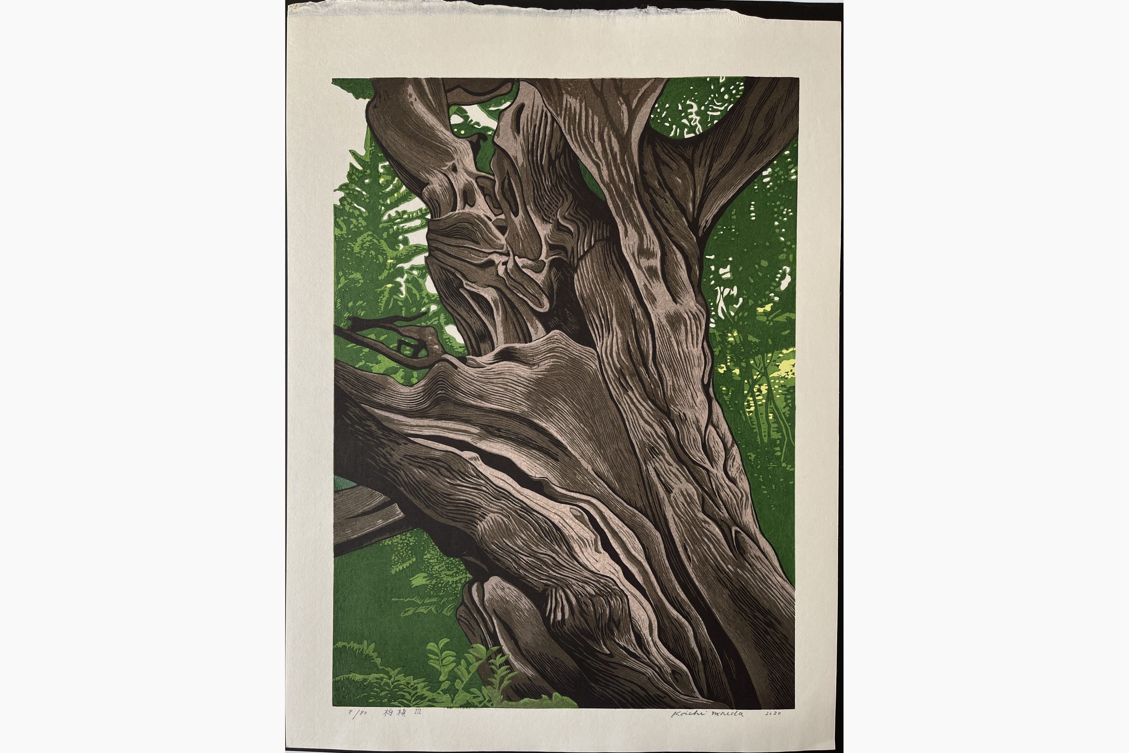 Japanese woodblock print - Koichi Maeda - Juniper III