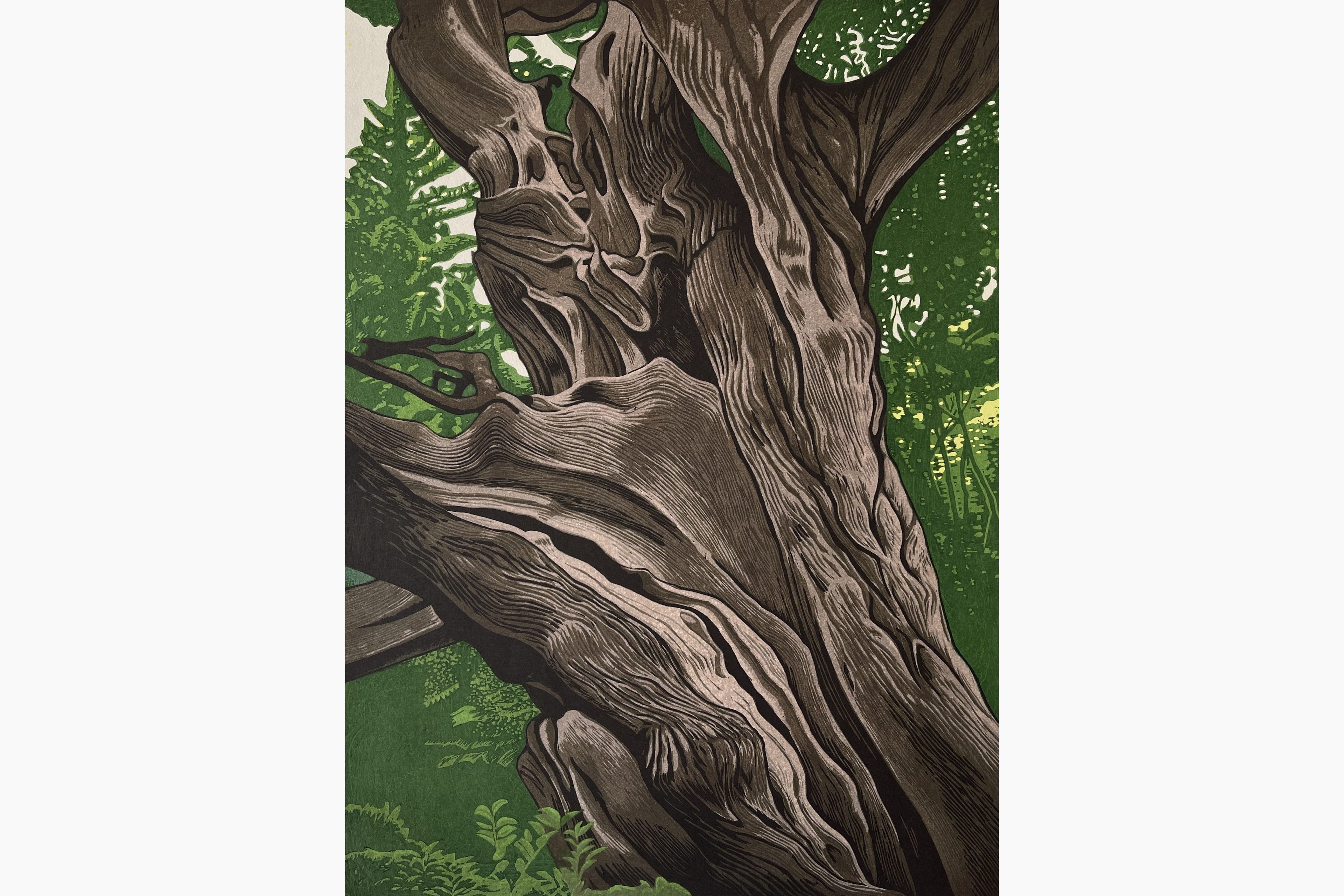 Original woodblock print - Koichi Maeda - Juniper III
