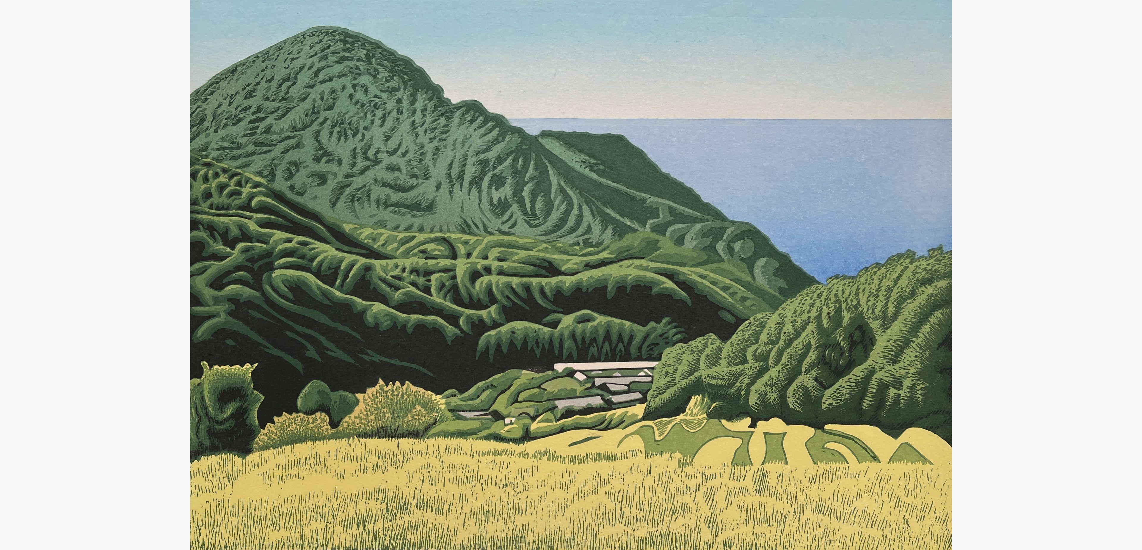 Original woodblock print - Koichi Maeda - Terraced rice fields overlooking the sea (Shizuoka, Ishibu)