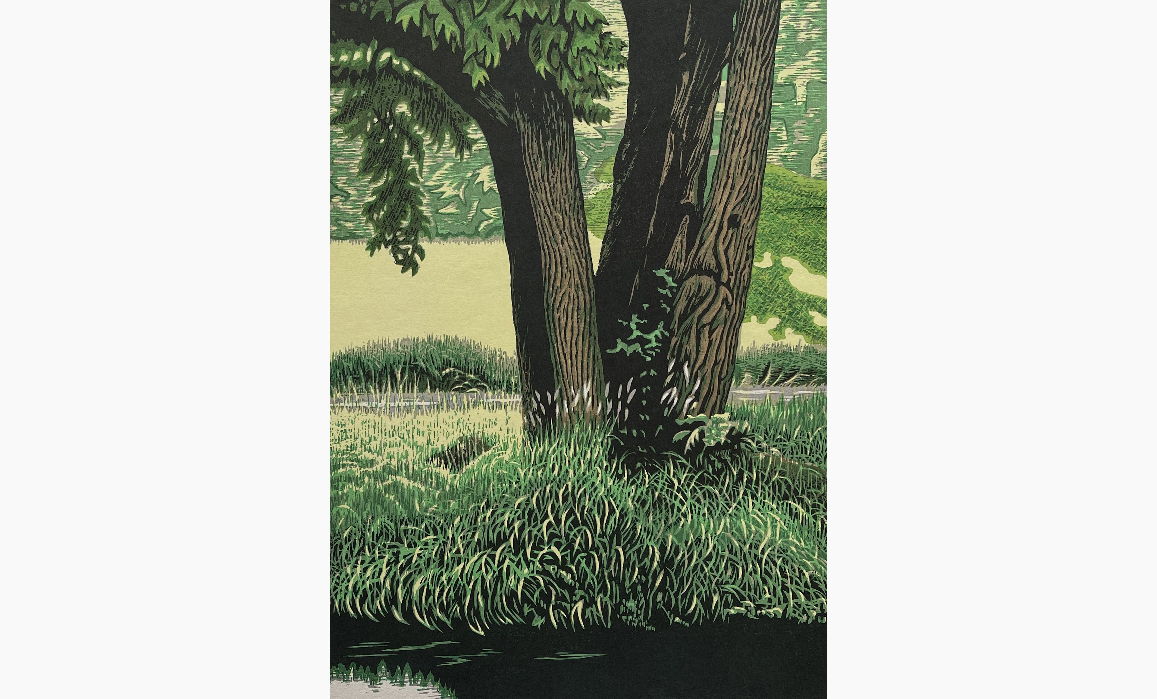 Original woodblock print - Koichi Maeda - Waterside and Green Shade
