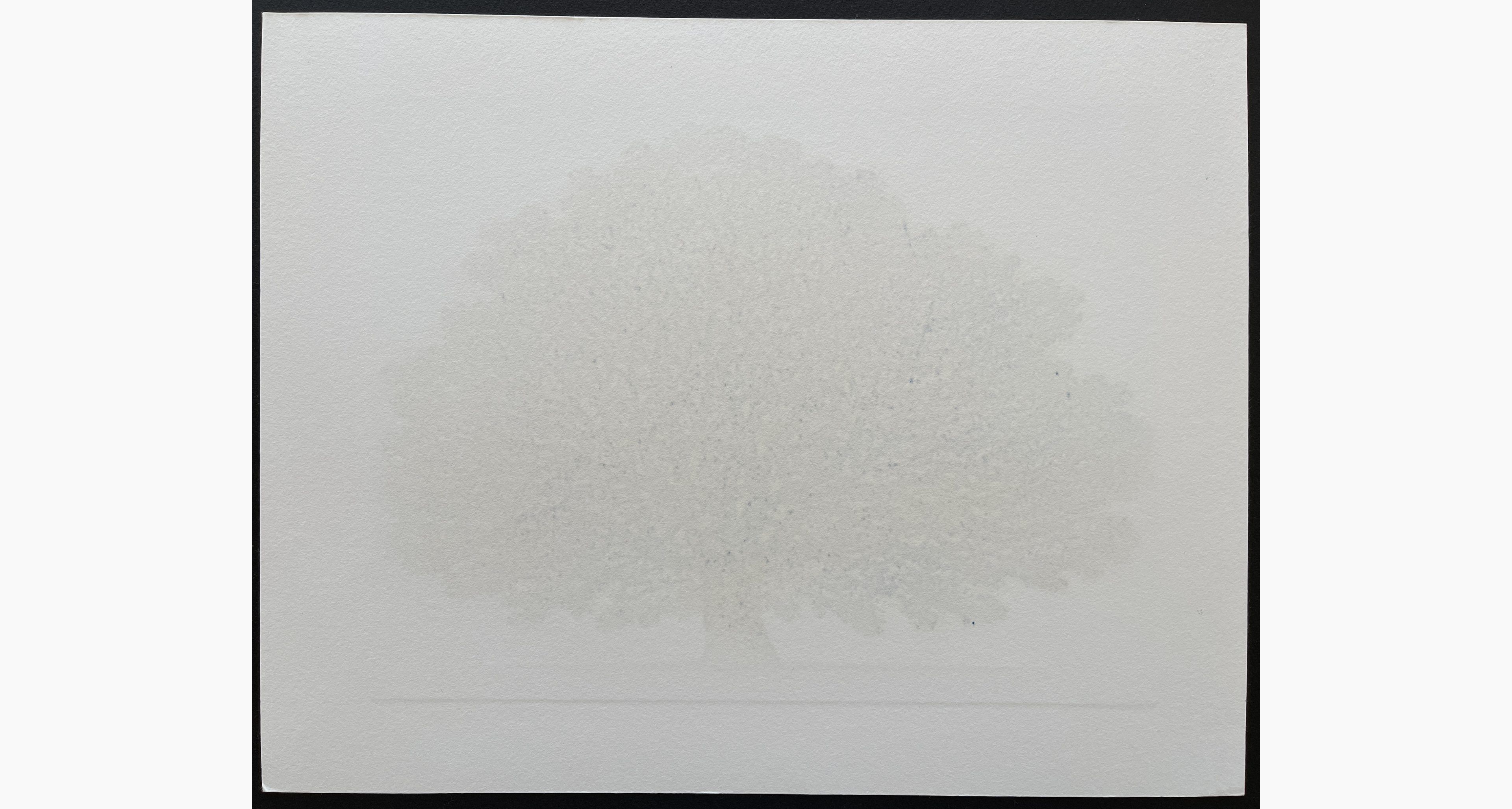 Woodblock print - Hajime Namiki - Tree Scene 160B